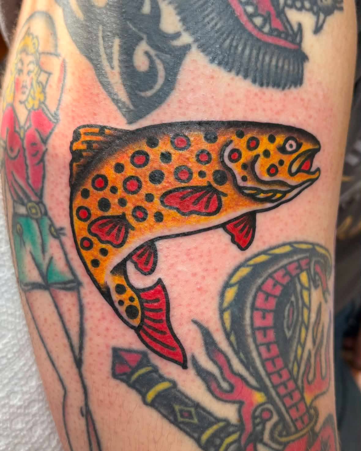 Brown trout American traditional tattoo on the forearm by Jake Herbert, Knoxville, Tennessee