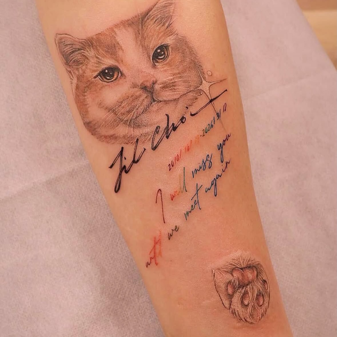 Tattoo by @irislamht — realism