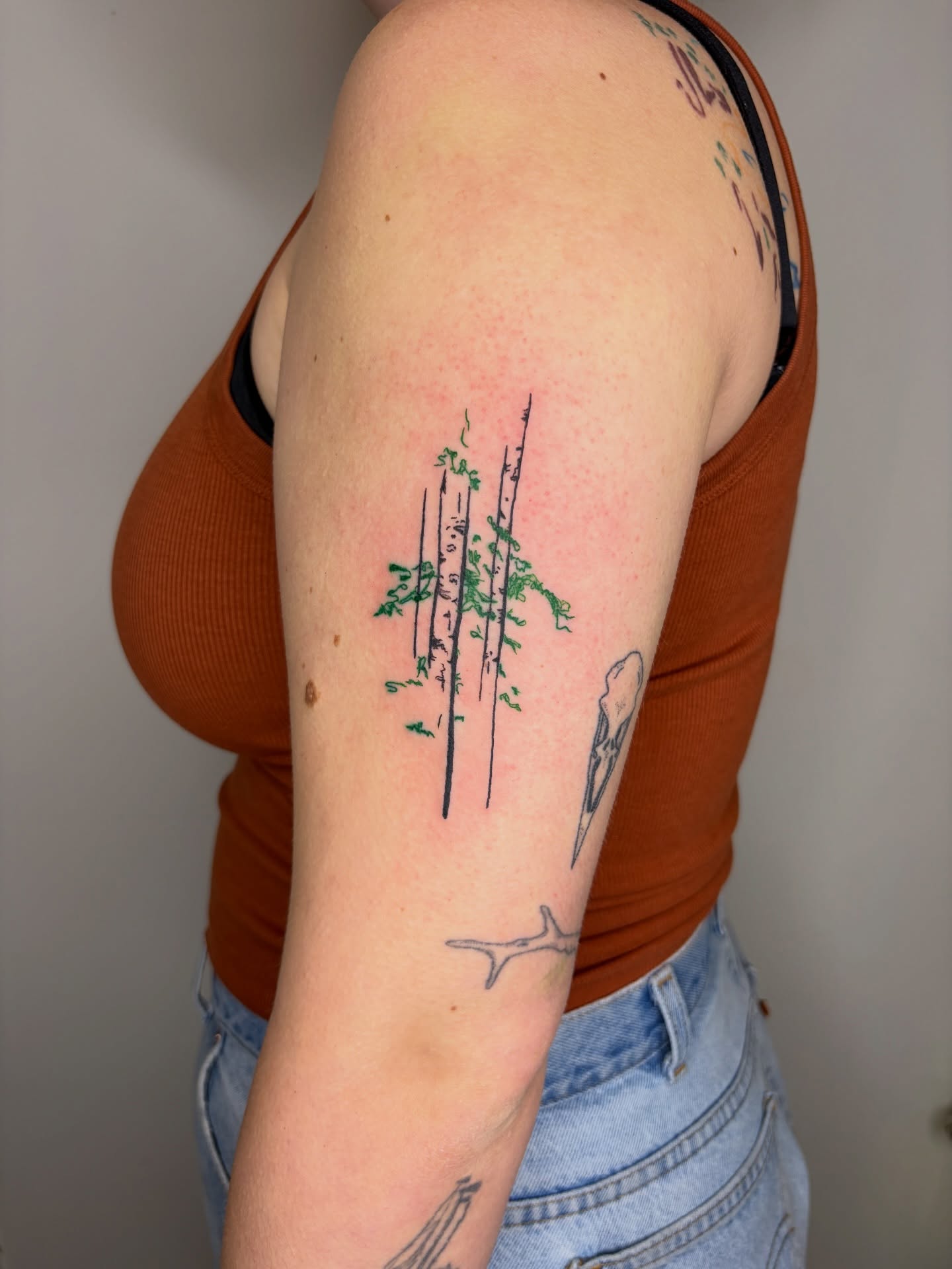 Bamboo trees dotwork tattoo on the forearm by tattoos by quin