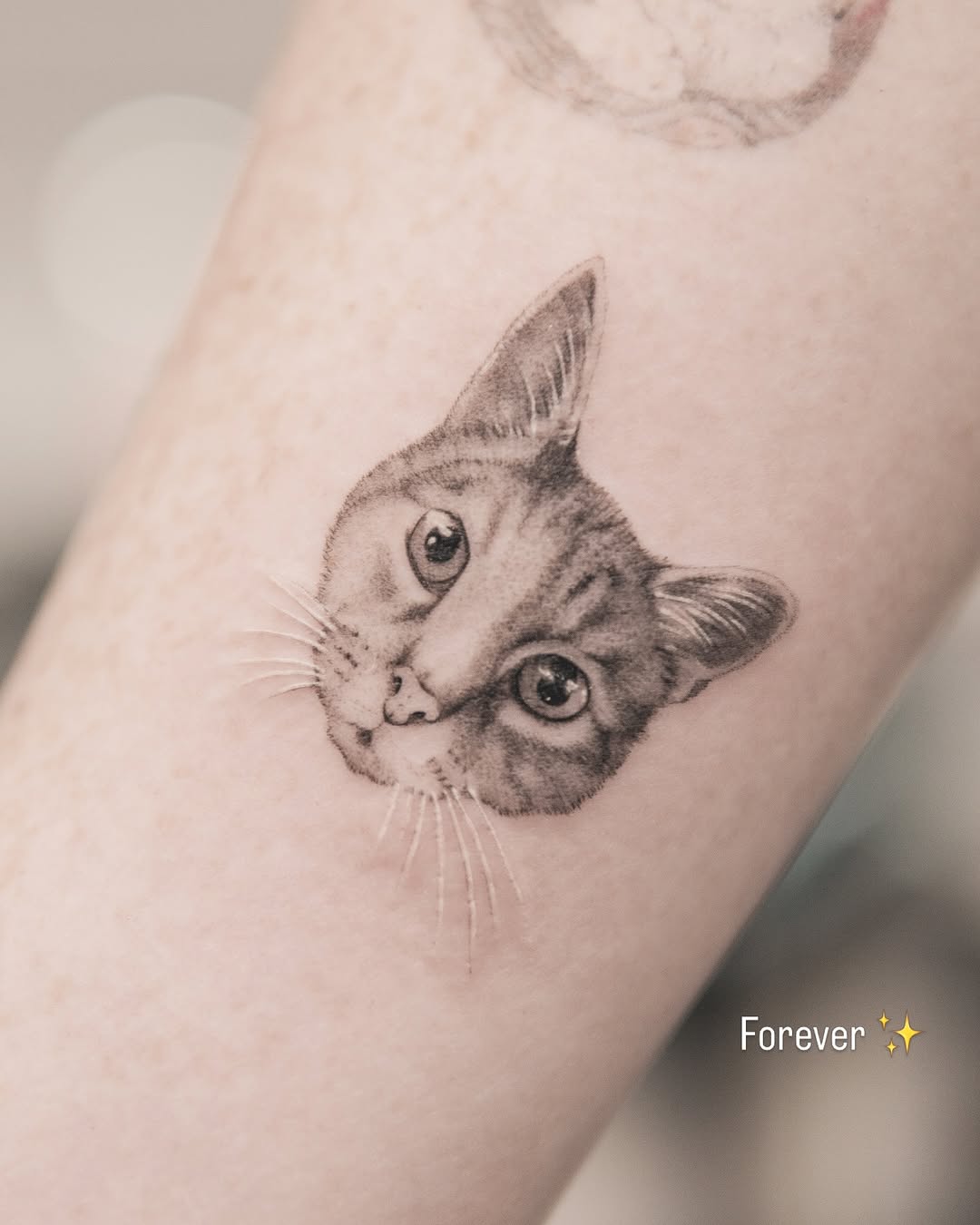 Cat portrait realism tattoo on the forearm by Joey