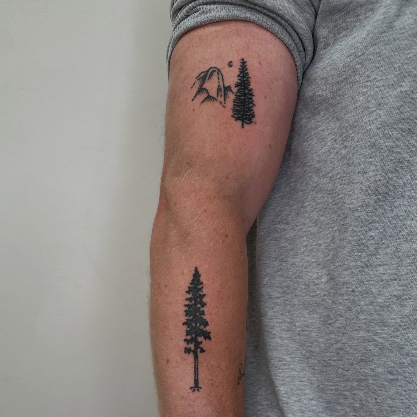 Pine trees and bird black and grey tattoo on the forearm by paulina