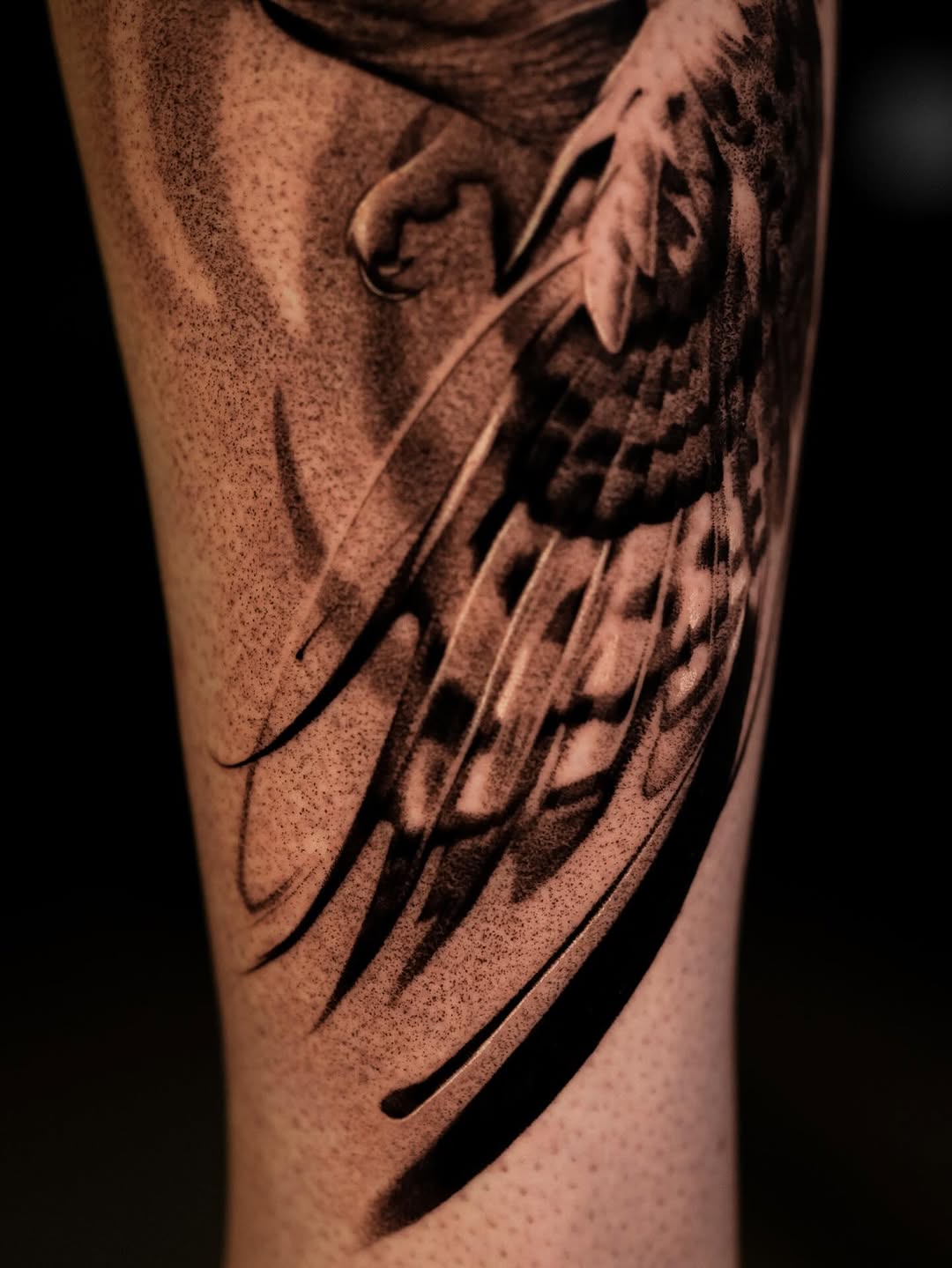 Eagle wing realism tattoo on the forearm by Nikita Grinenko, San Francisco