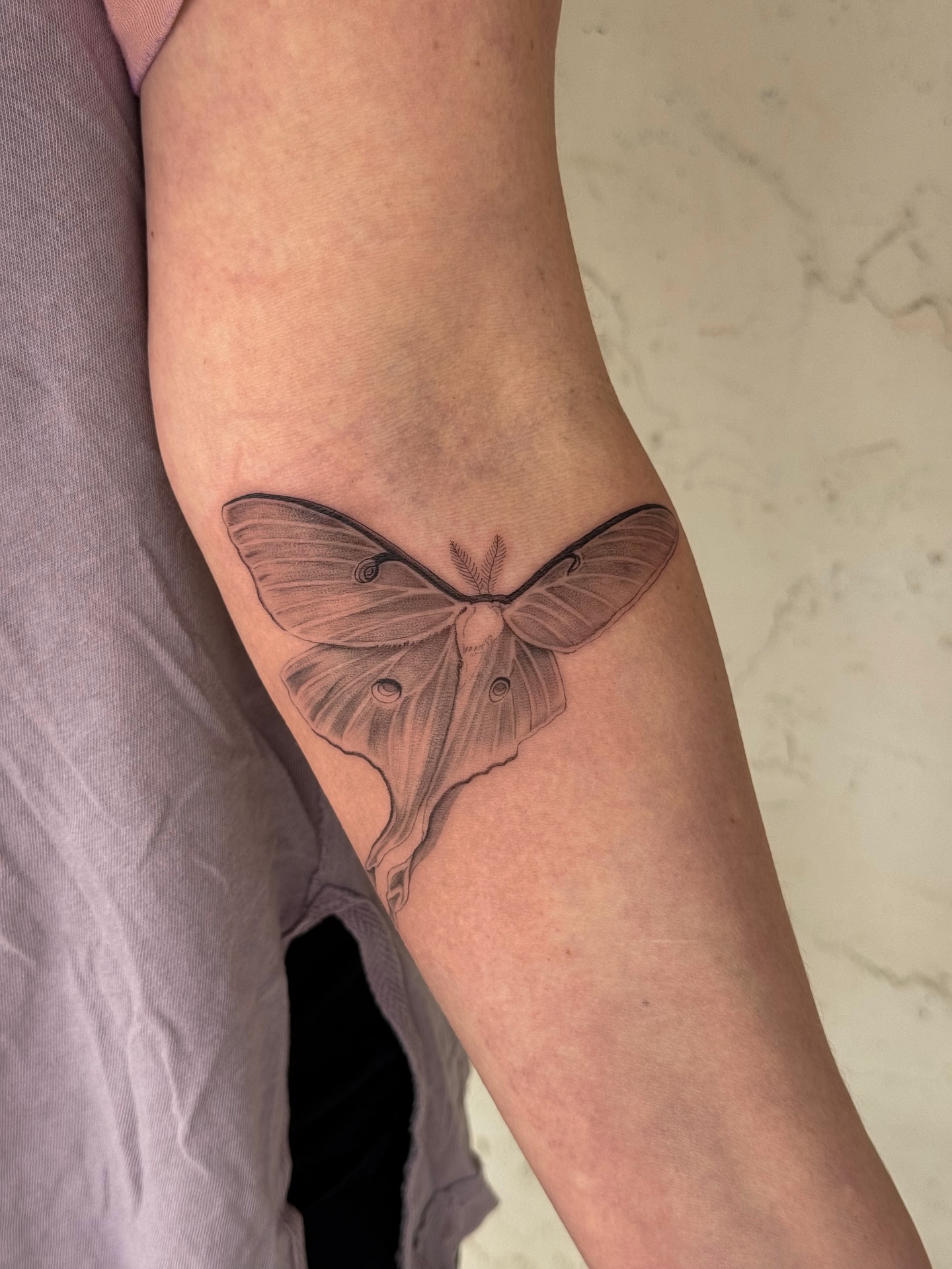 Moth black and grey tattoo on the forearm by Floral