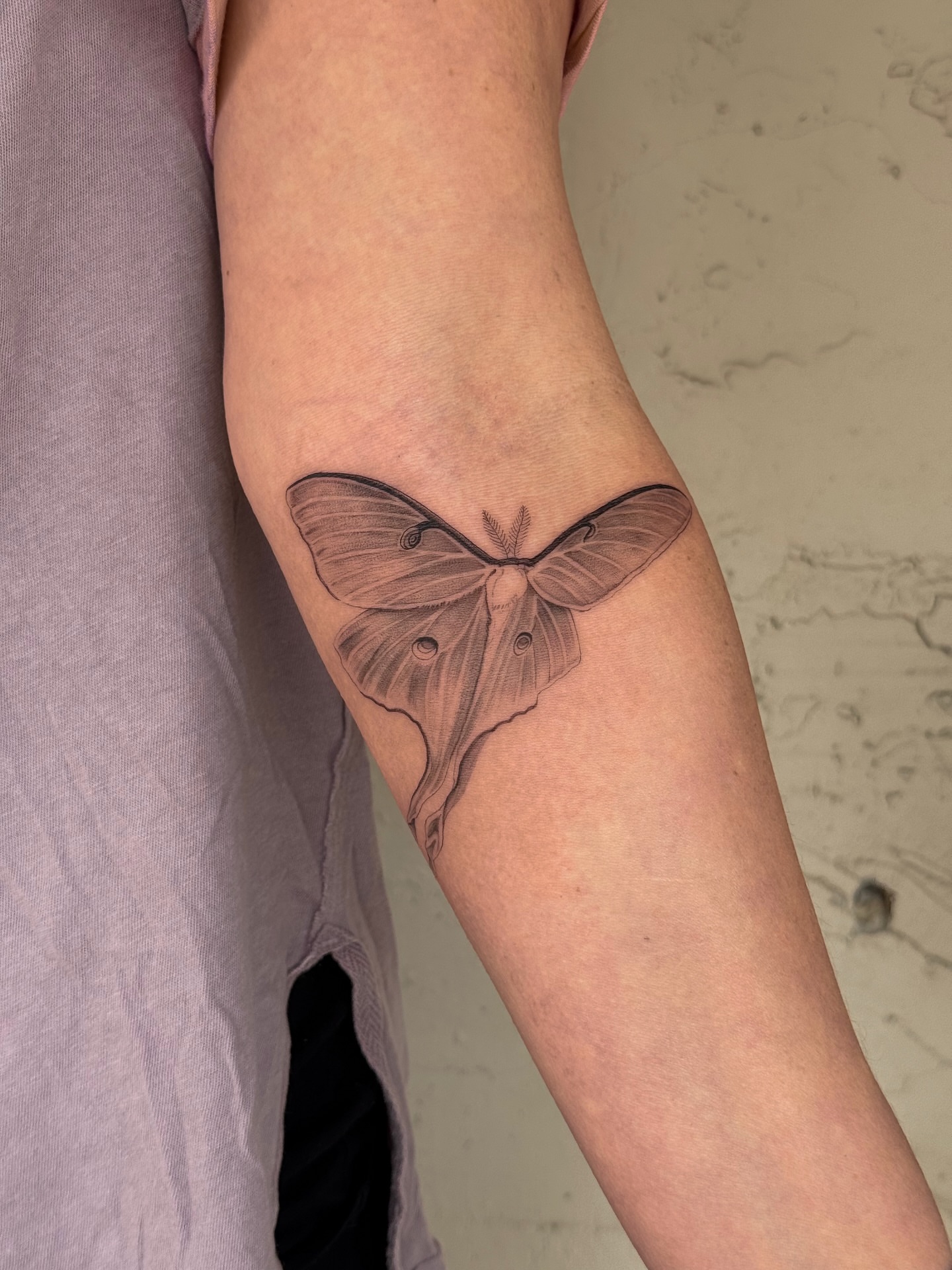 Moth realism tattoo on the forearm by Floral