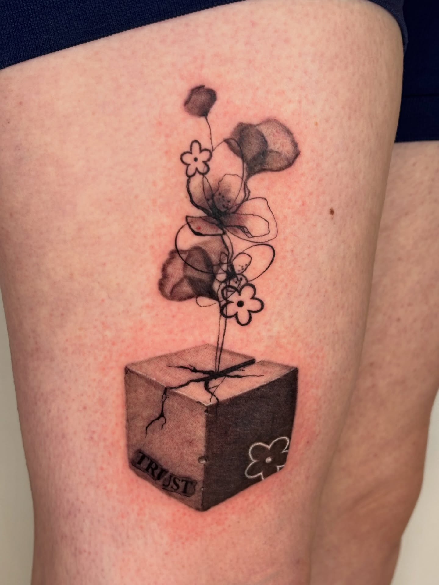 Flower growing from box black and grey tattoo on the thigh by Dani