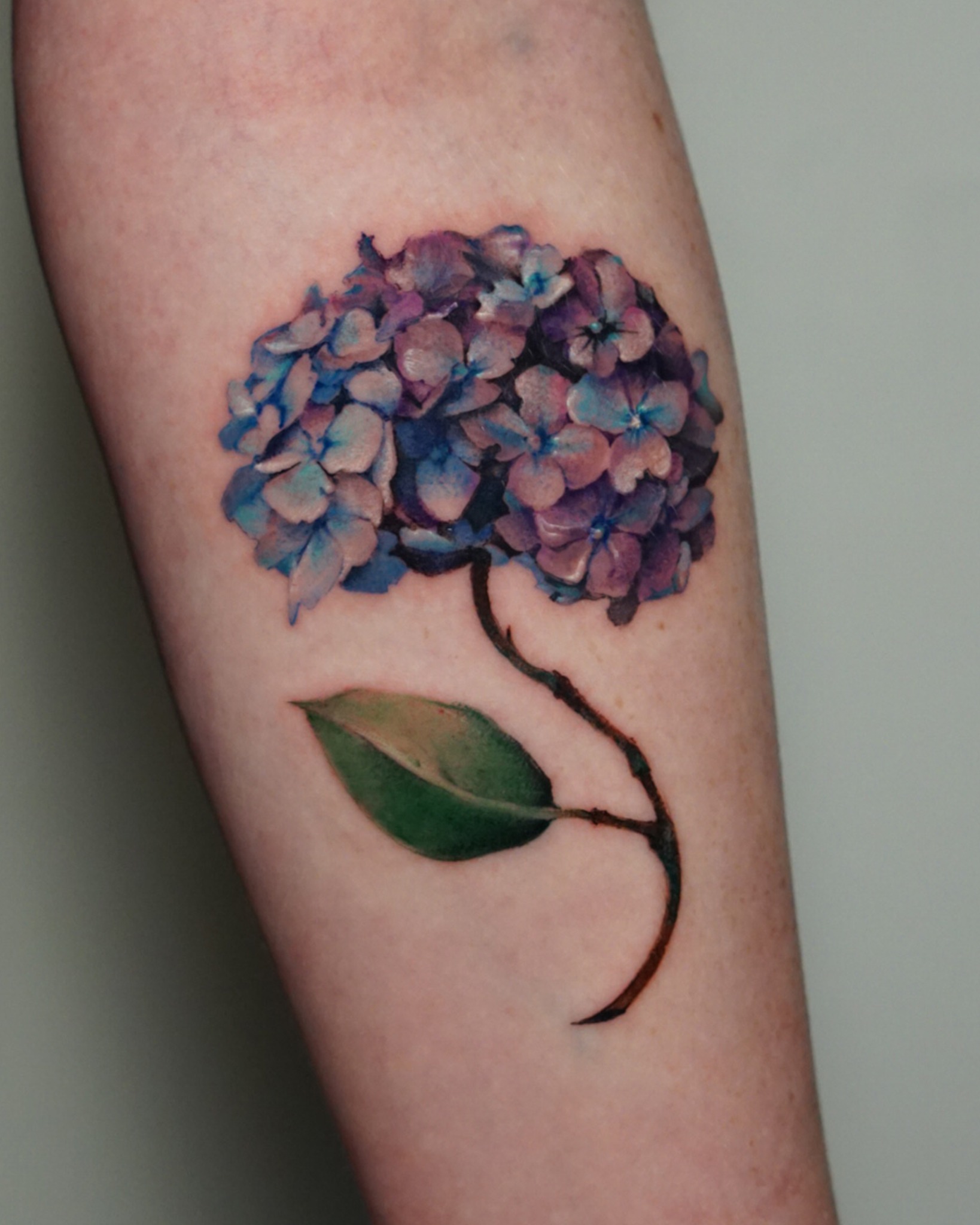 Hydrangea realism tattoo on the forearm by San Diego Color Realism and Neotraditional