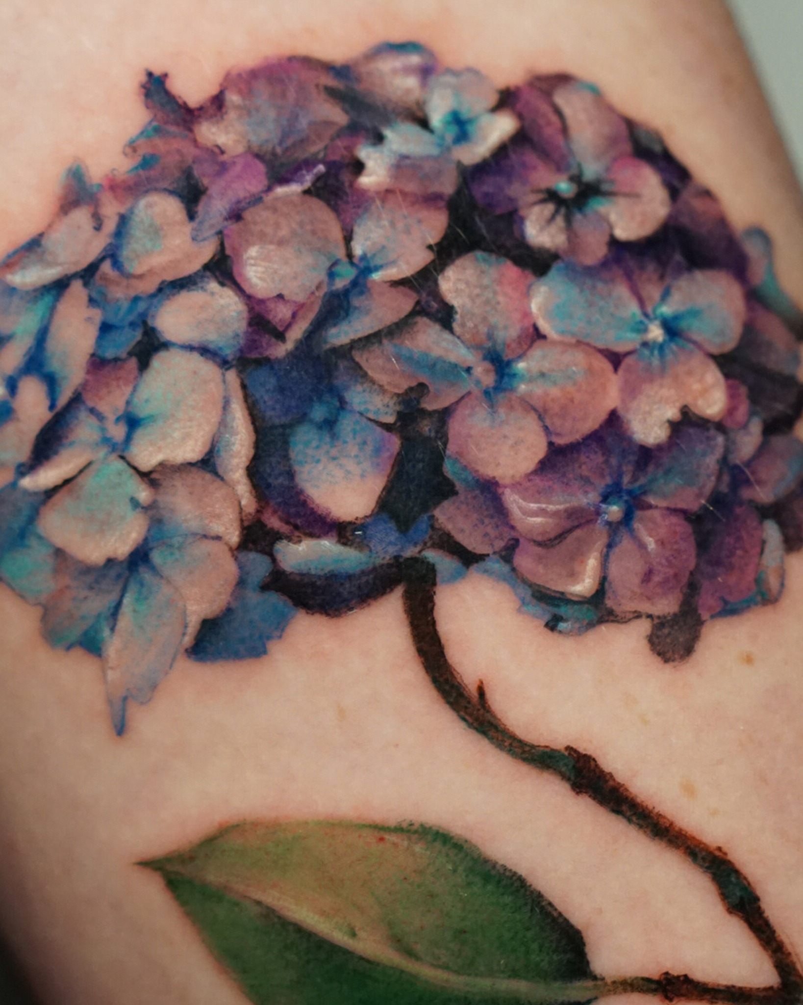 Hydrangea watercolor tattoo on the upper arm by San Diego Color Realism and Neotraditional