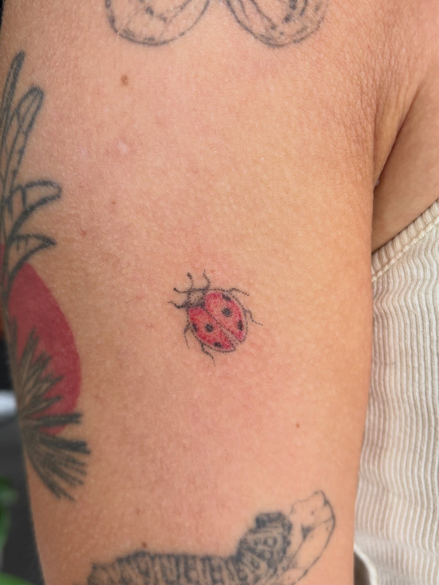 Ladybug dotwork tattoo on the forearm by Ashley, Elk Horn, Iowa