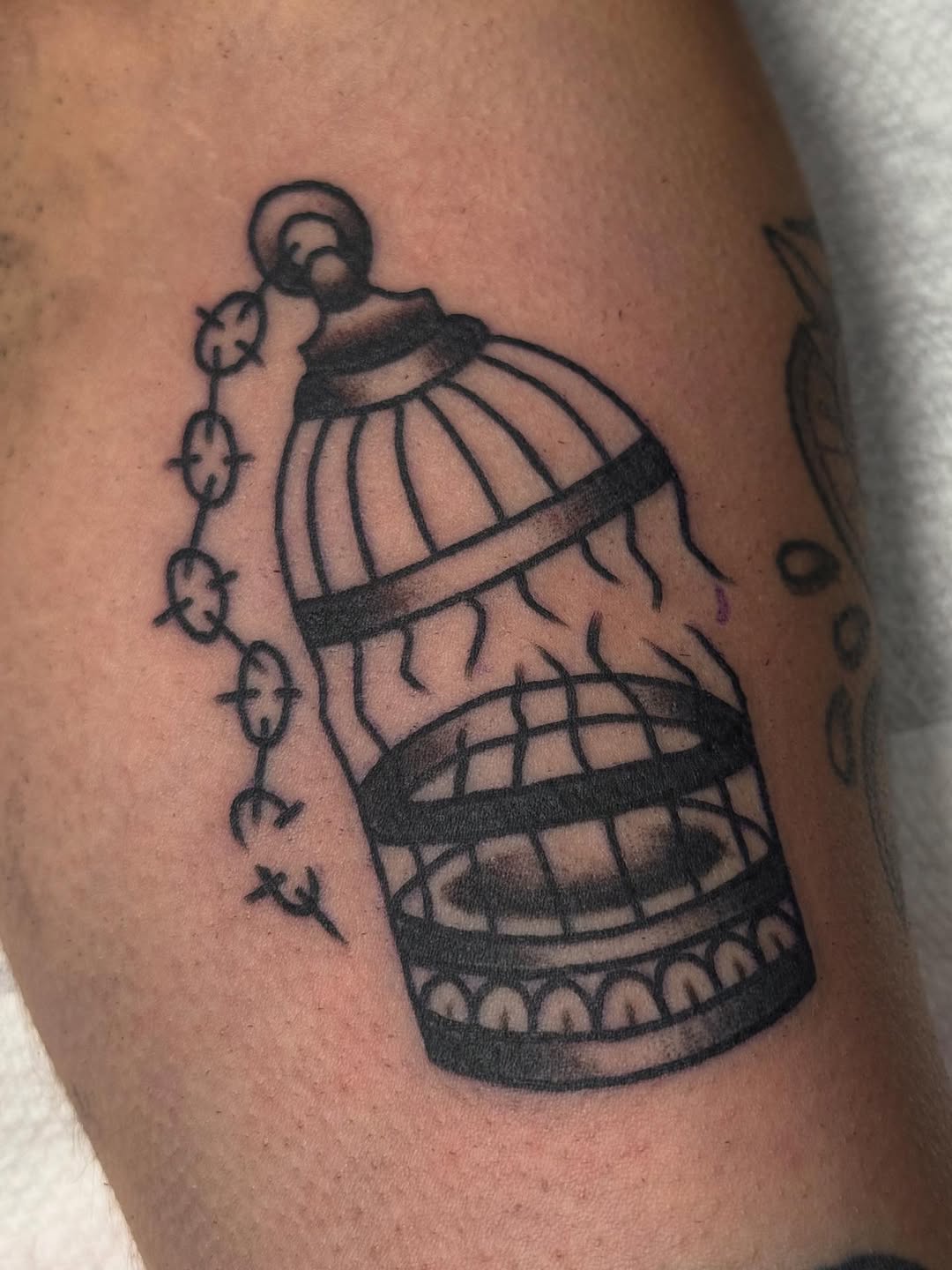 Tattoo by @tradkatz — american_traditional