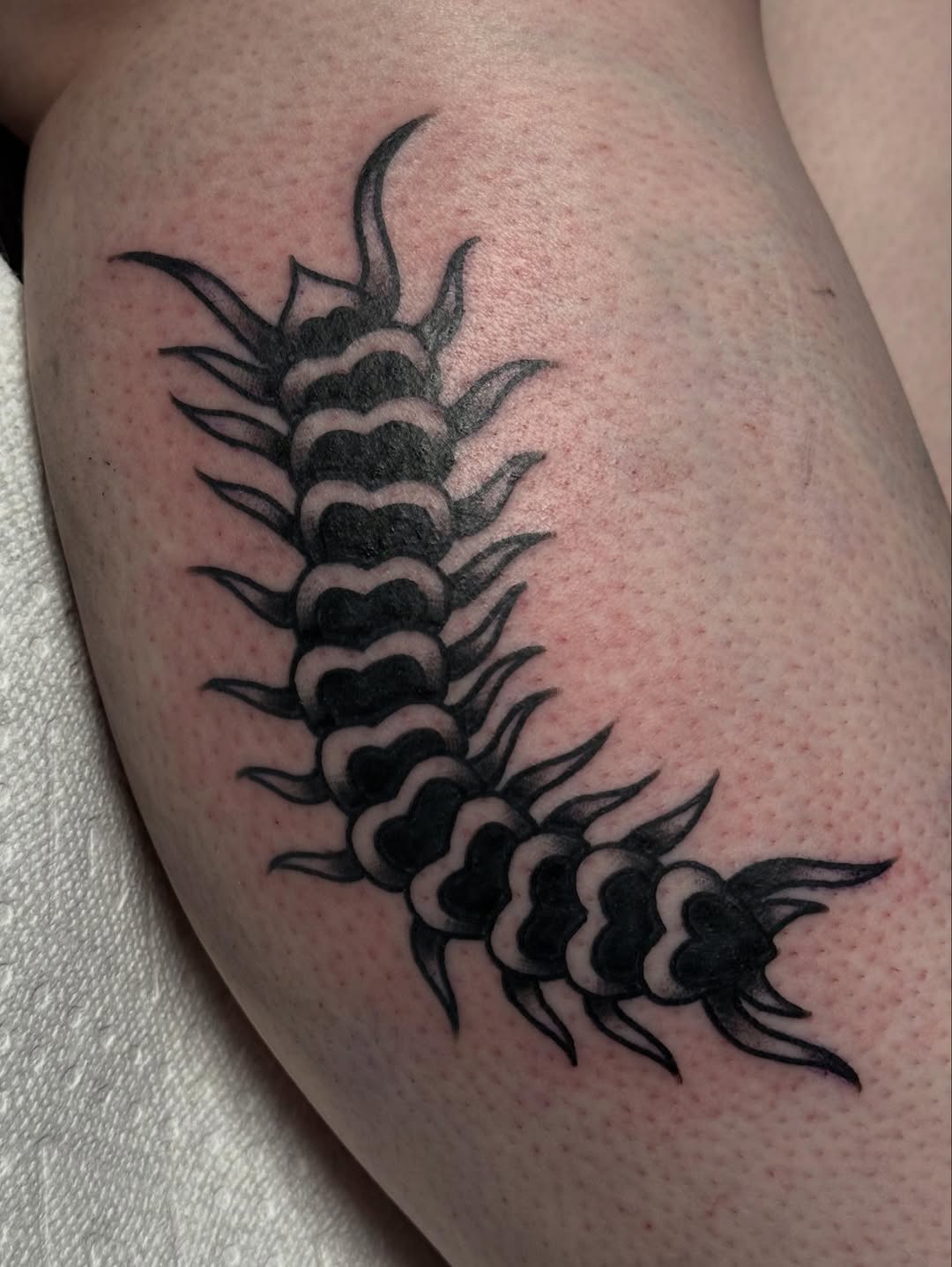 Tattoo by @tradkatz — american_traditional