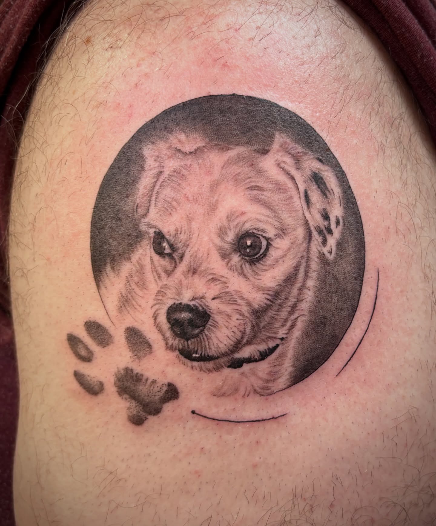 Tattoo by @amp.tattoos — realism