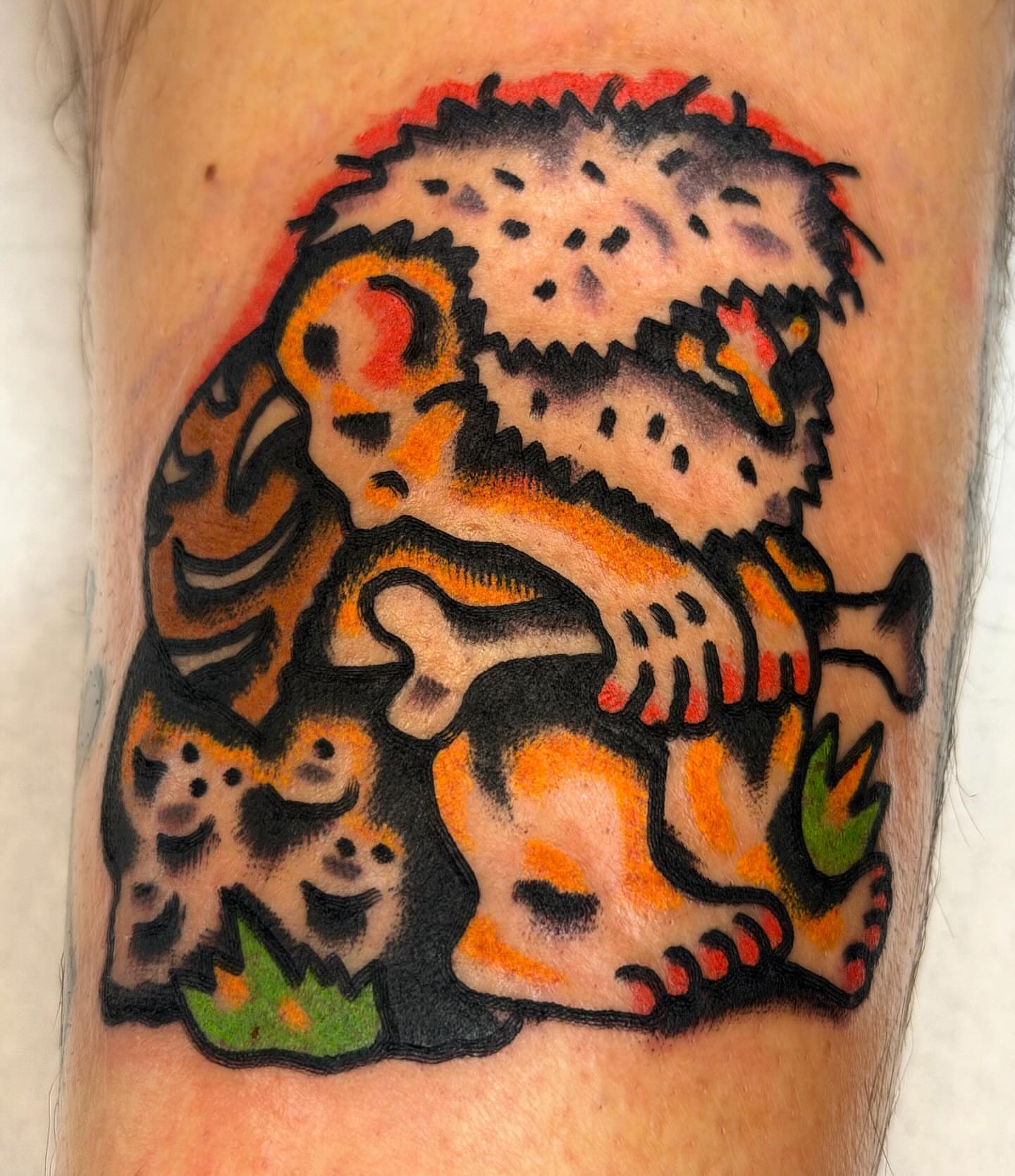 Lion and cub American traditional tattoo on the forearm by Jake
