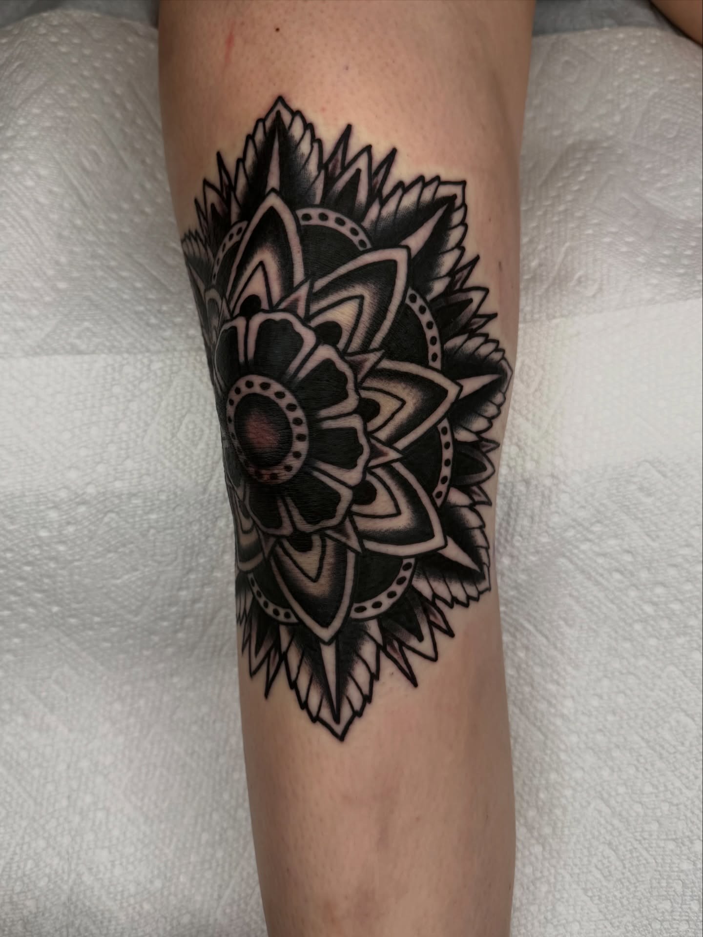 Lotus flower black and grey tattoo on the forearm by Noah Diffenderfer, Phoenix, Arizona