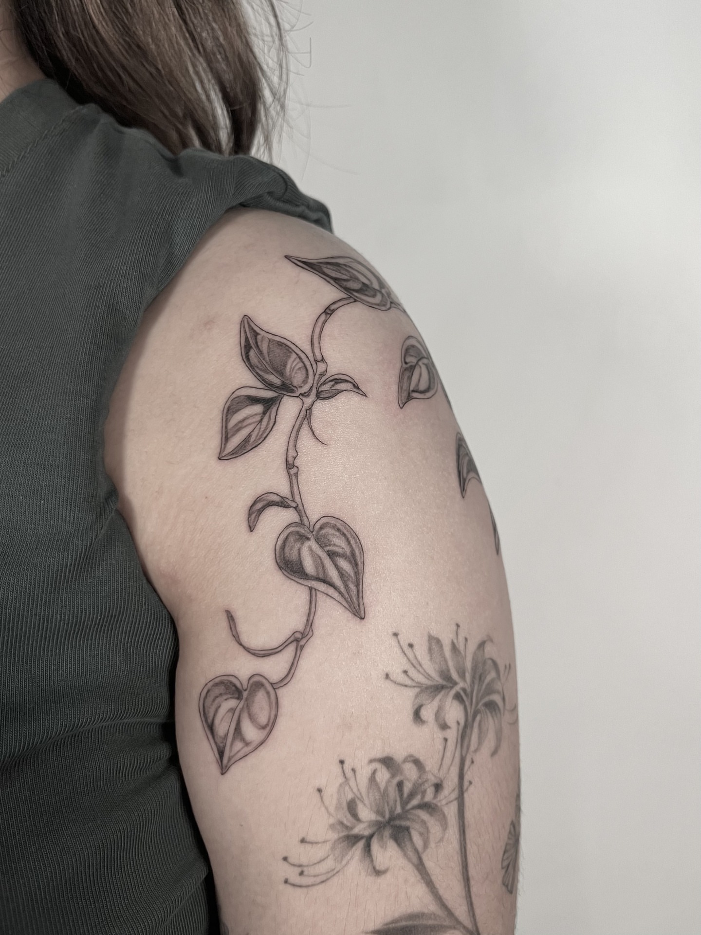 Plant vine black and grey tattoo on the shoulder by Sierra Skye