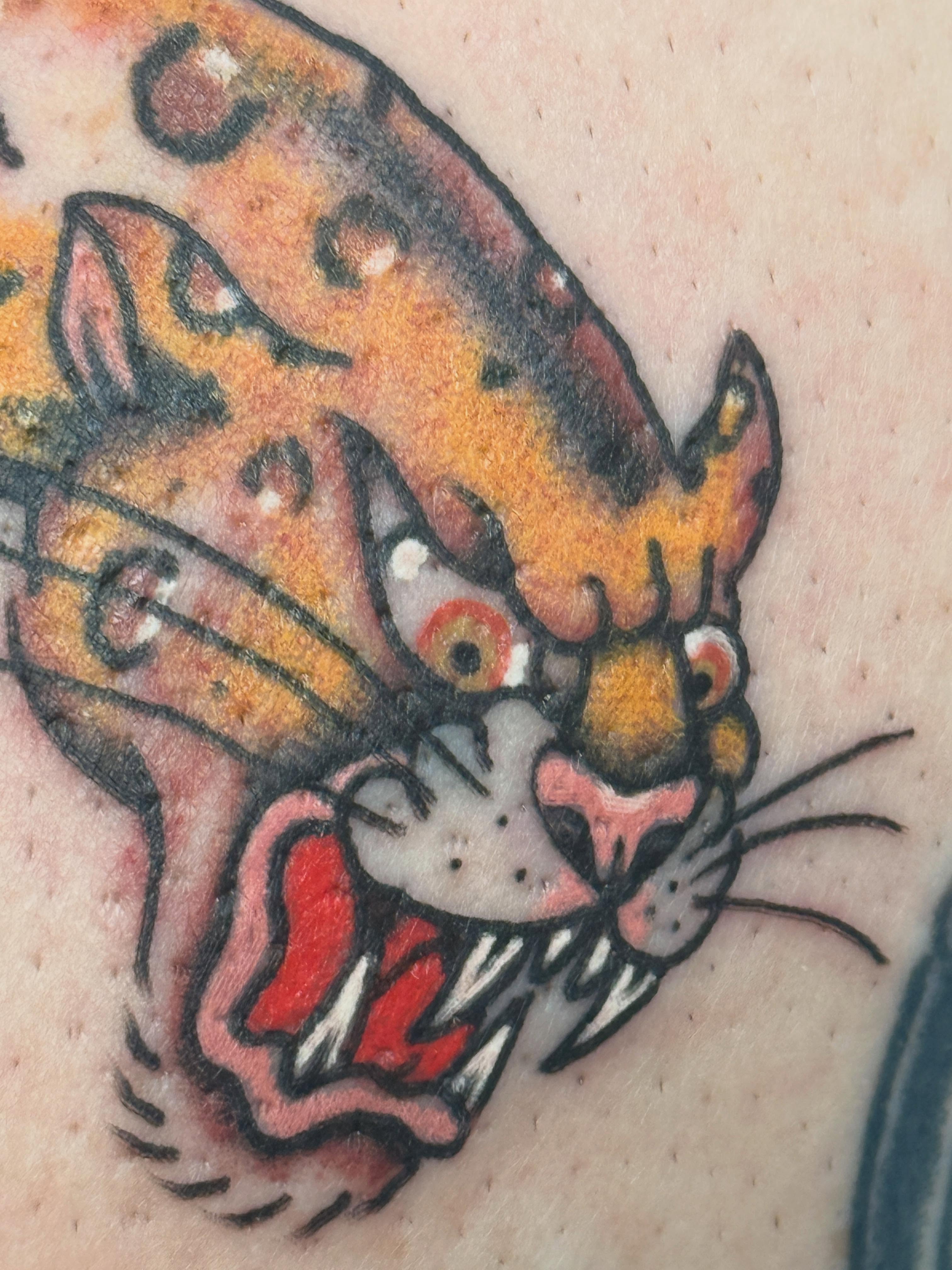 Cat American traditional tattoo on the forearm by Megan Sue Causemaker