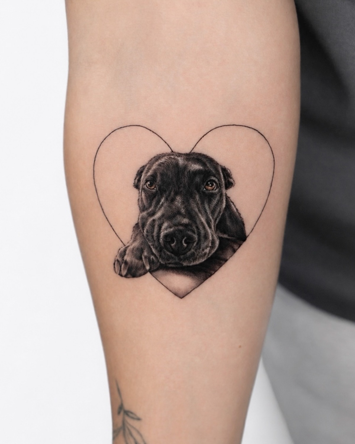 Dog portrait realism tattoo on the forearm by Hoze