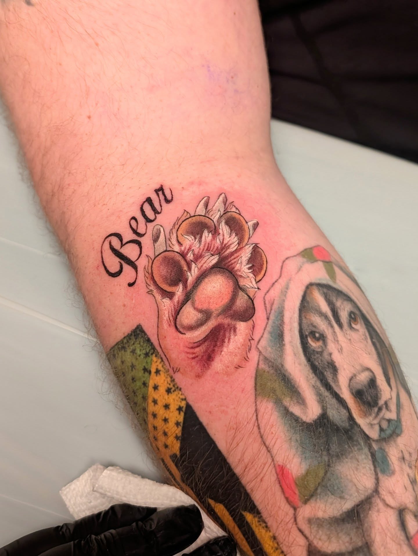 Bear paw and dog American traditional tattoo on the forearm by kylie, San Antonio, Texas