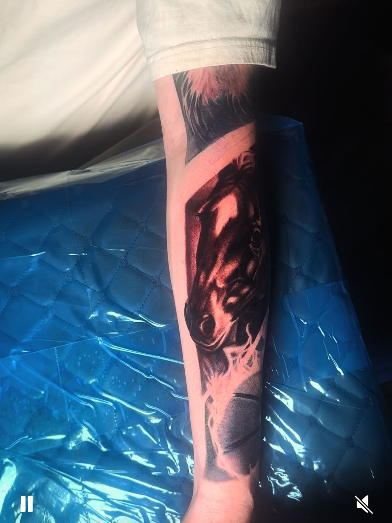 Tattoo by @daggerface_toon — realism, black_and_grey
