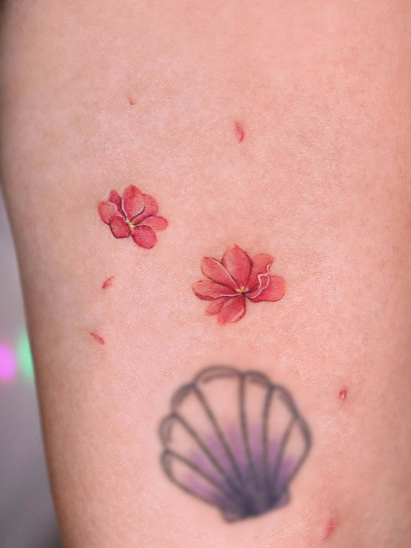 Tattoo by @tattooist_namoo — watercolor