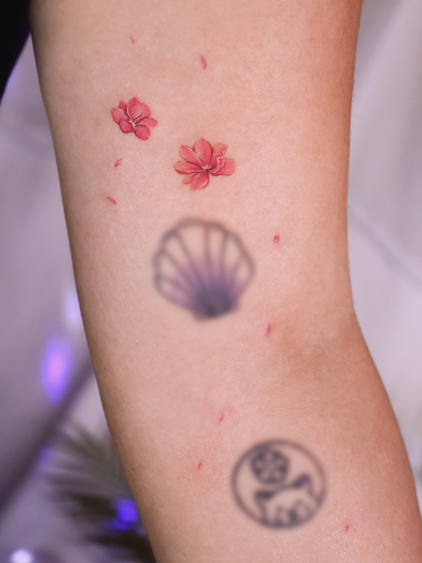Tattoo by @tattooist_namoo — watercolor