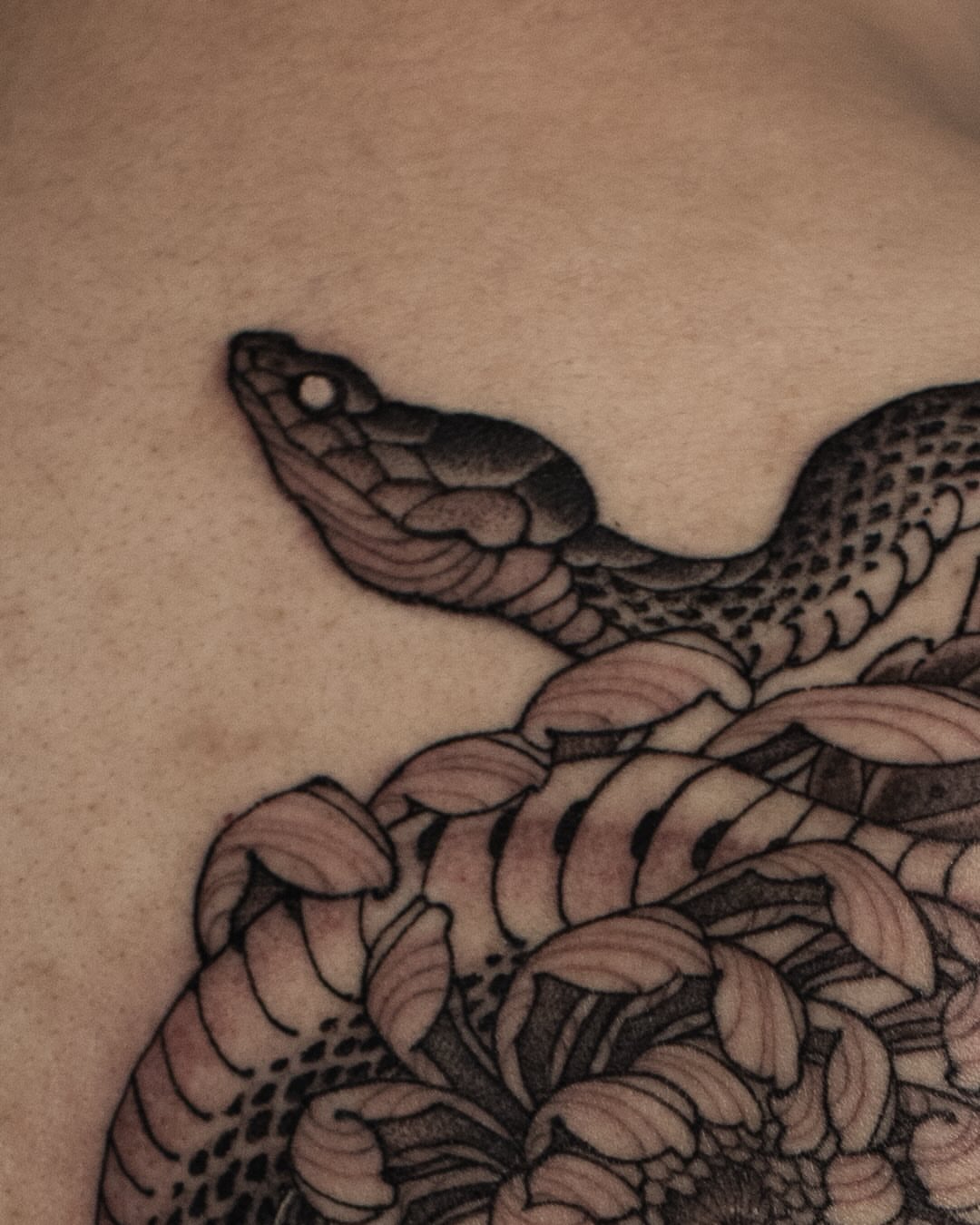 Snake black and grey tattoo on the chest by 홍대타투