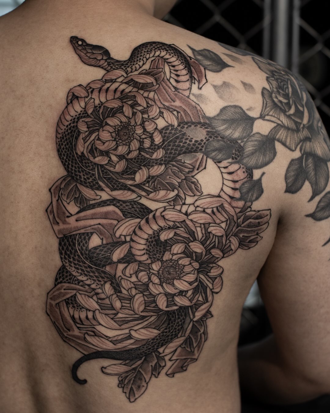 Snake and chrysanthemum realism tattoo on the back by 홍대타투