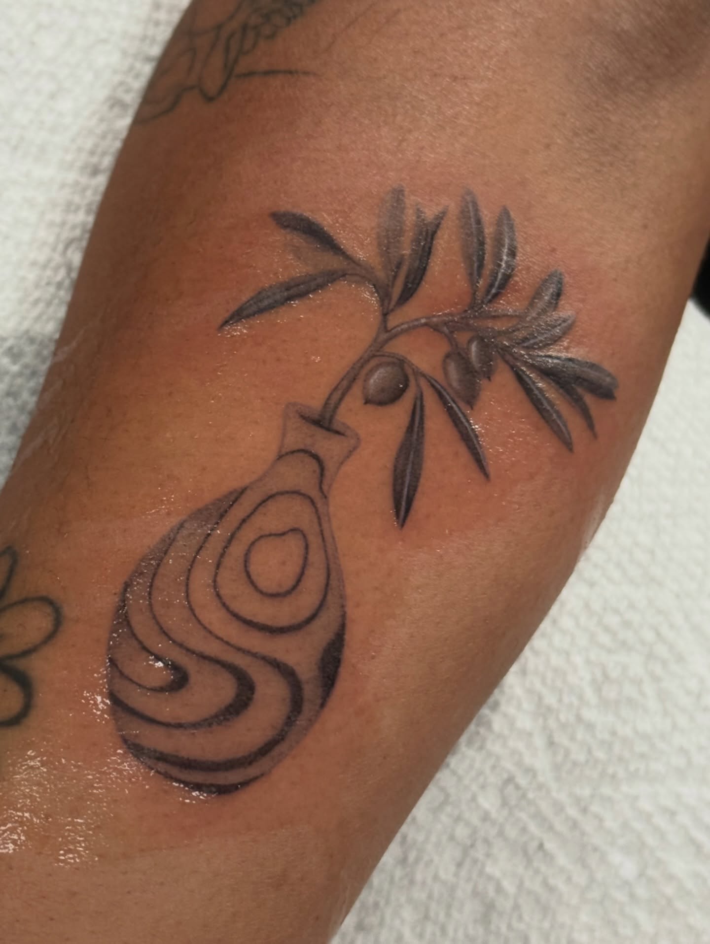 Olive branch and vase black and grey tattoo on the forearm by jaz🌀