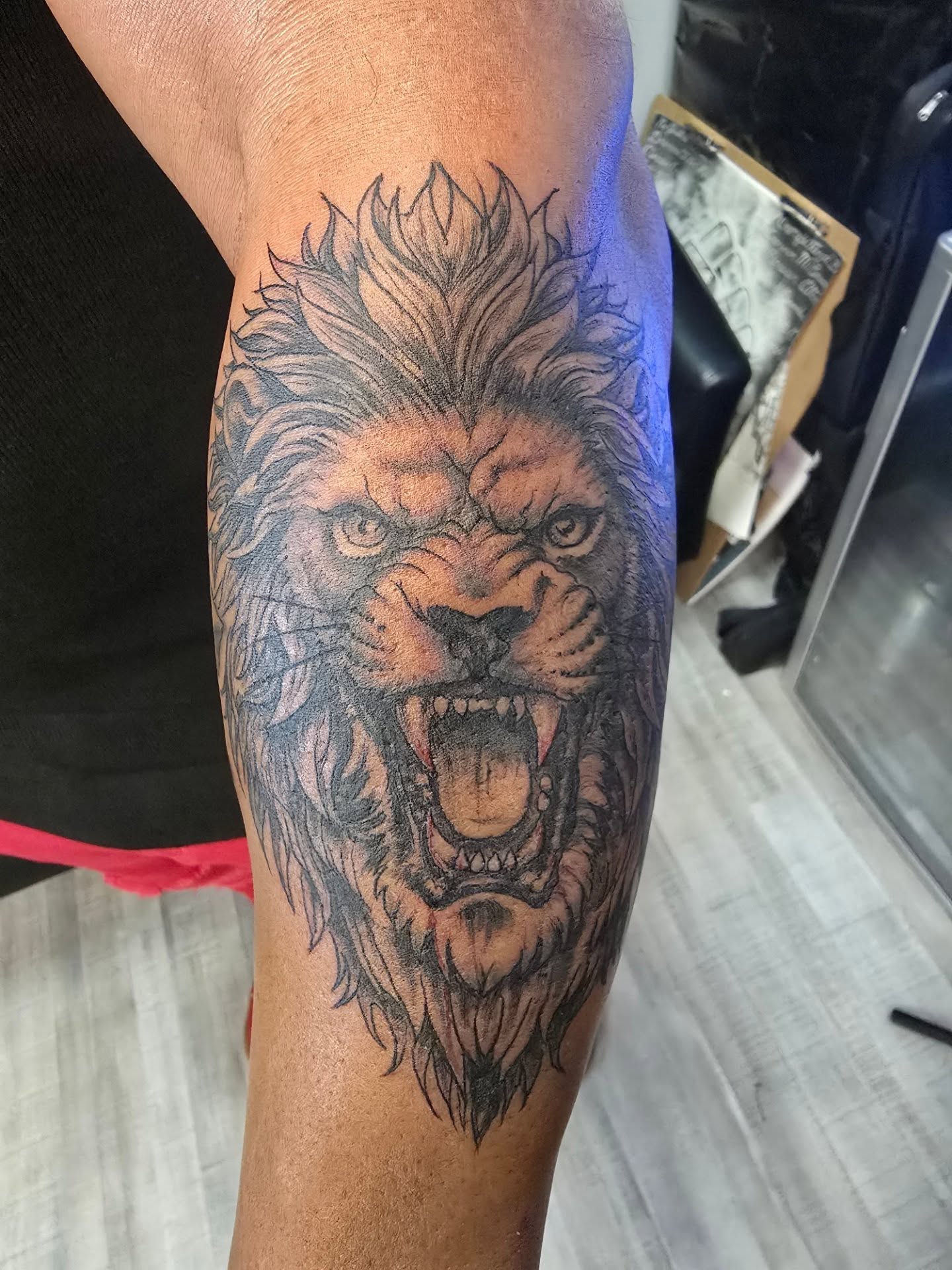 Roaring lion realism tattoo on the forearm by Klazzik Mayfield, Fort Lauderdale, Florida