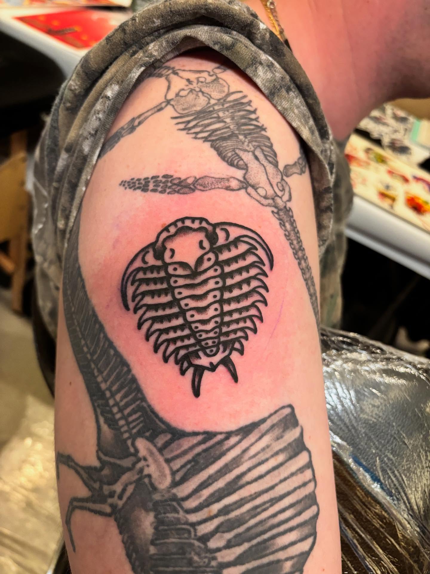 Trilobite black and grey tattoo on the shoulder by Tyler Whalen