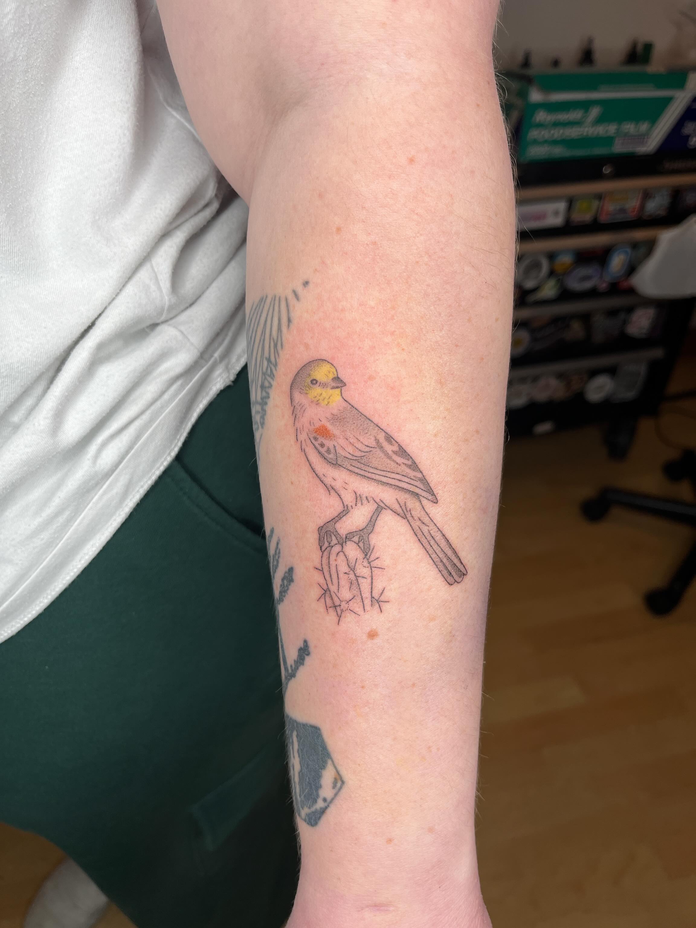 Bird realism tattoo on the forearm by natalie