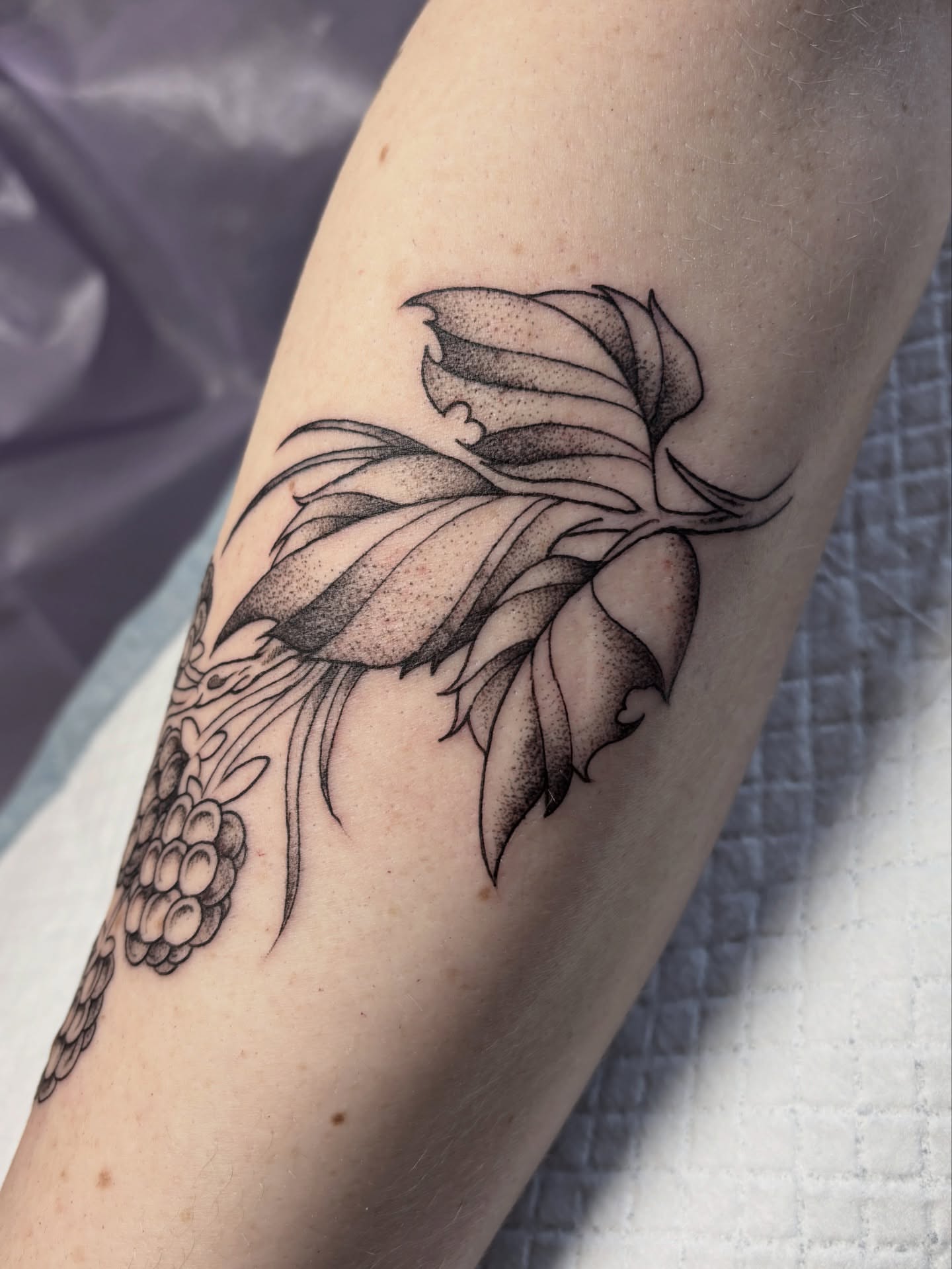 Flower dotwork tattoo on the forearm by katie, Seattle, Washington