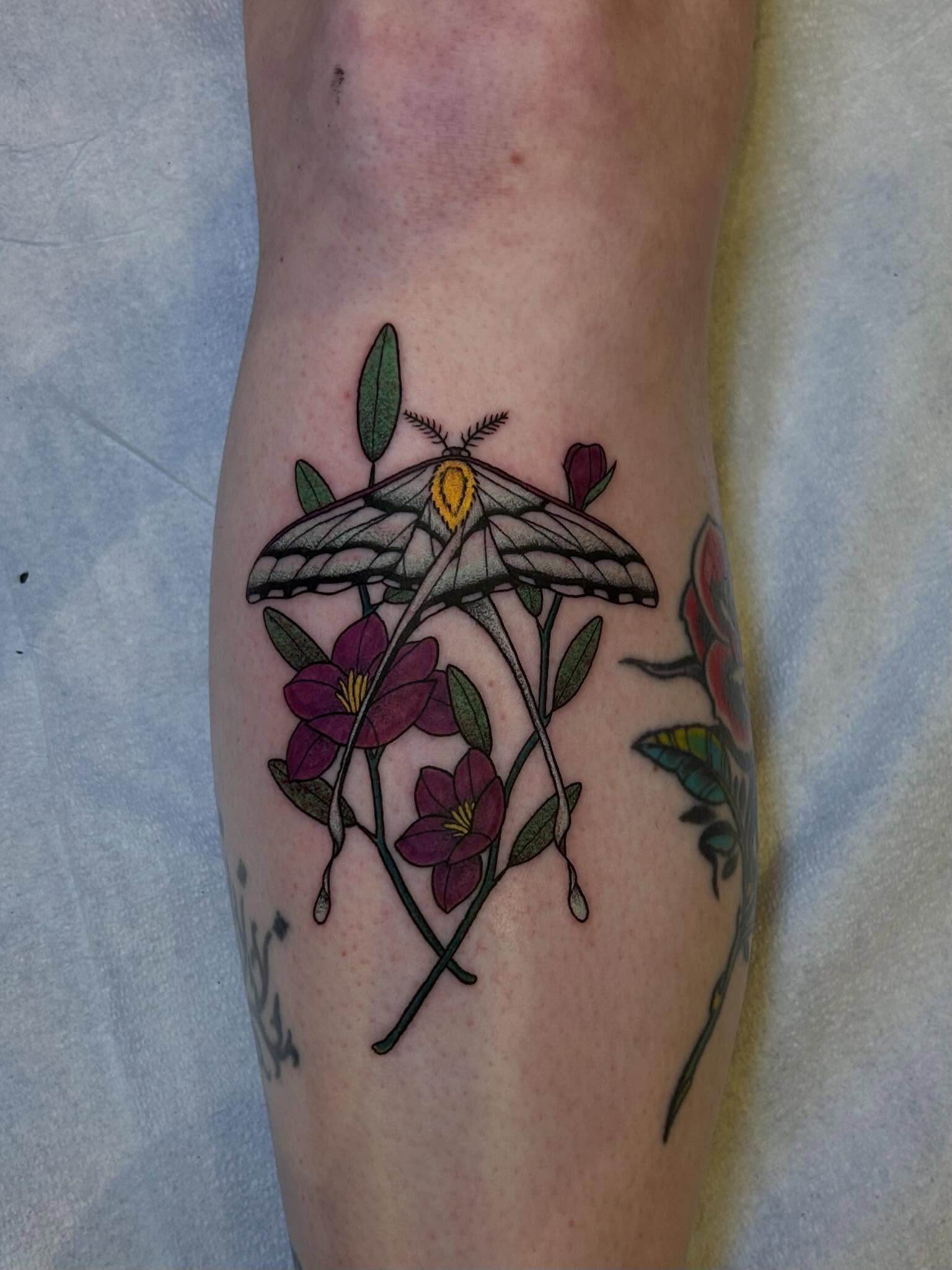 Tattoo by @wldspce — new_school, illustrative
