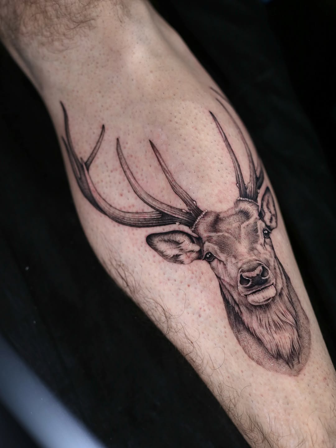 Deer head dark art tattoo on the forearm by Steve Franciosa