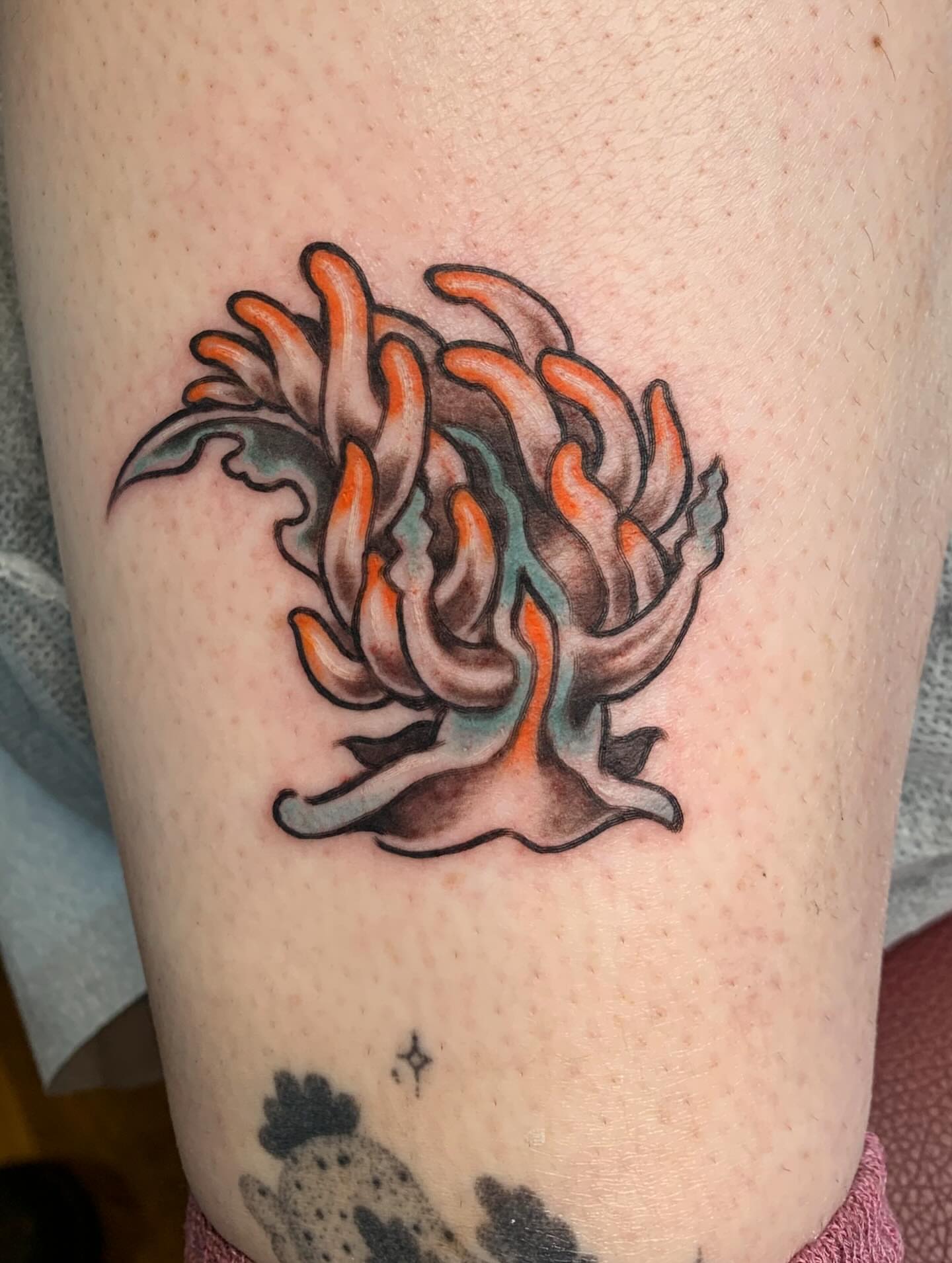 Tattoo by @beehemothtattoo โ neo_traditional