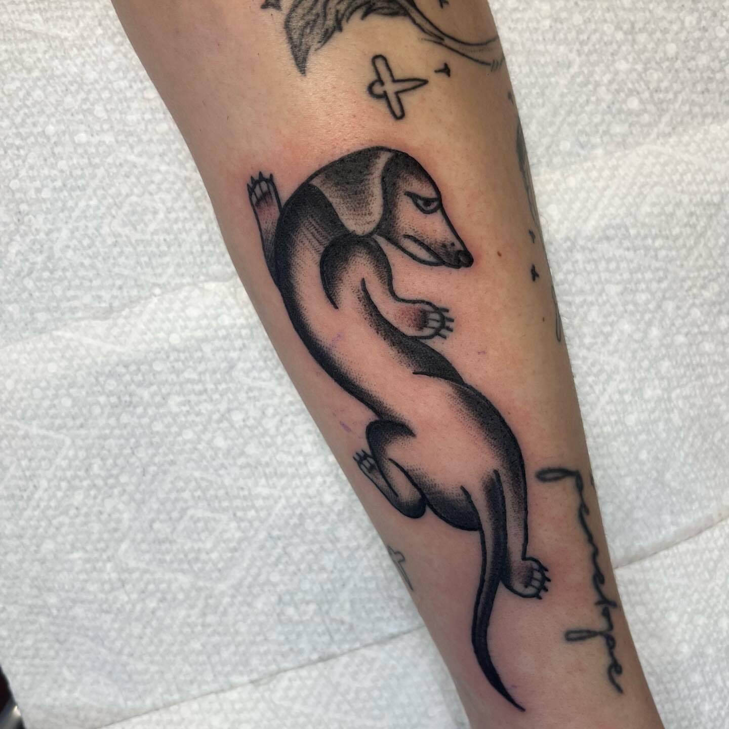 Dachshund dotwork tattoo on the forearm by Evan Voelker