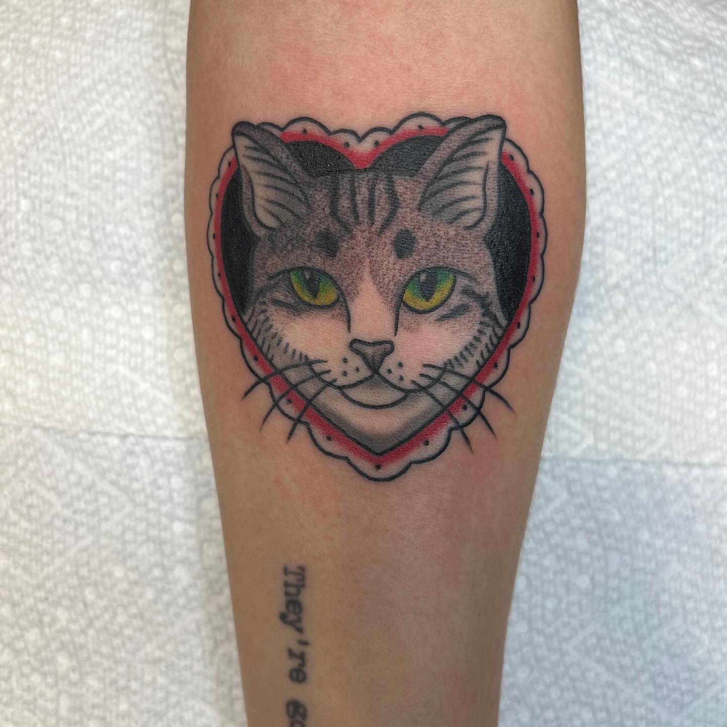 Cat American traditional tattoo on the forearm by Evan Voelker