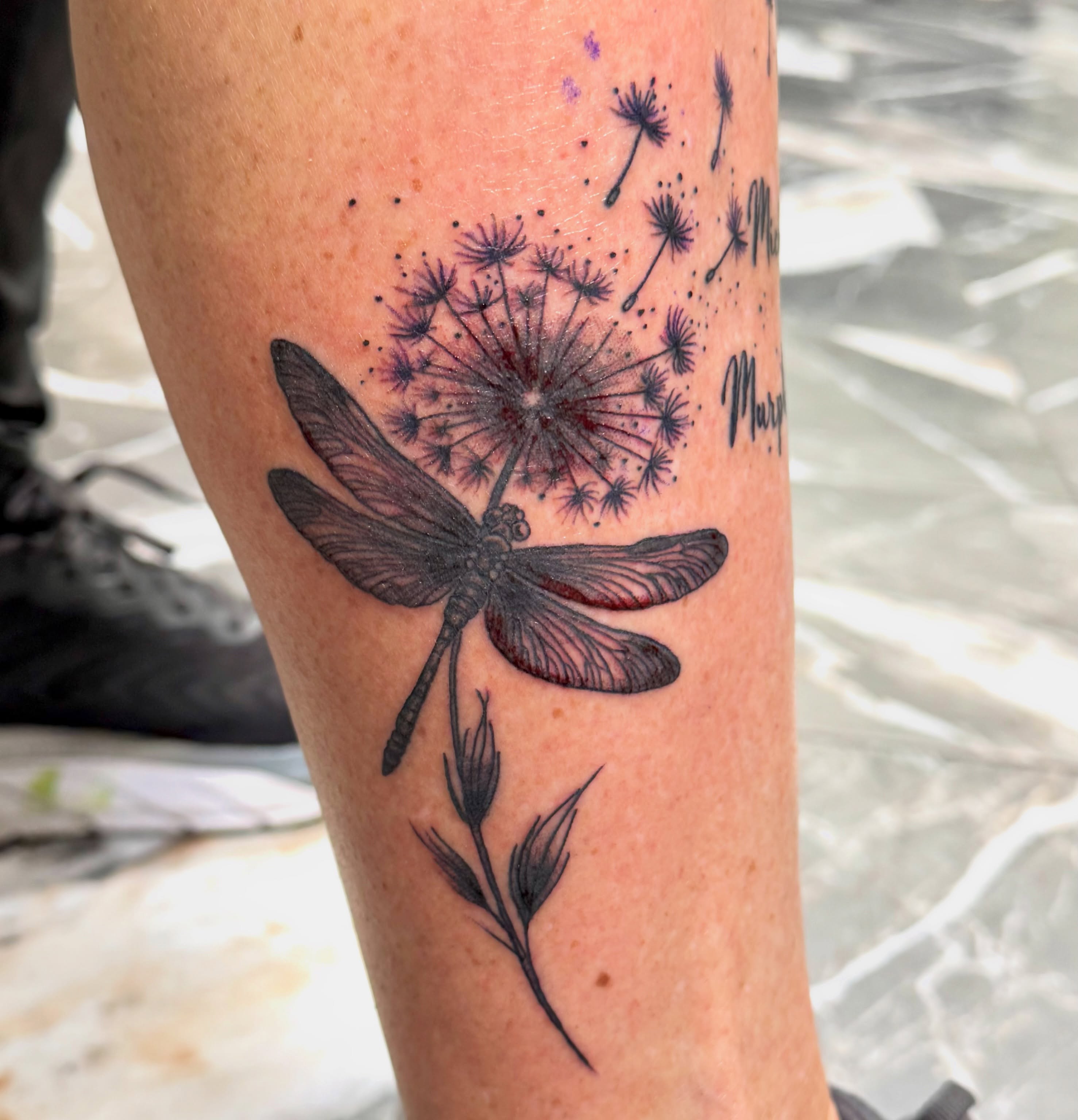 Tattoo by @sonderstattoos — dotwork, realism