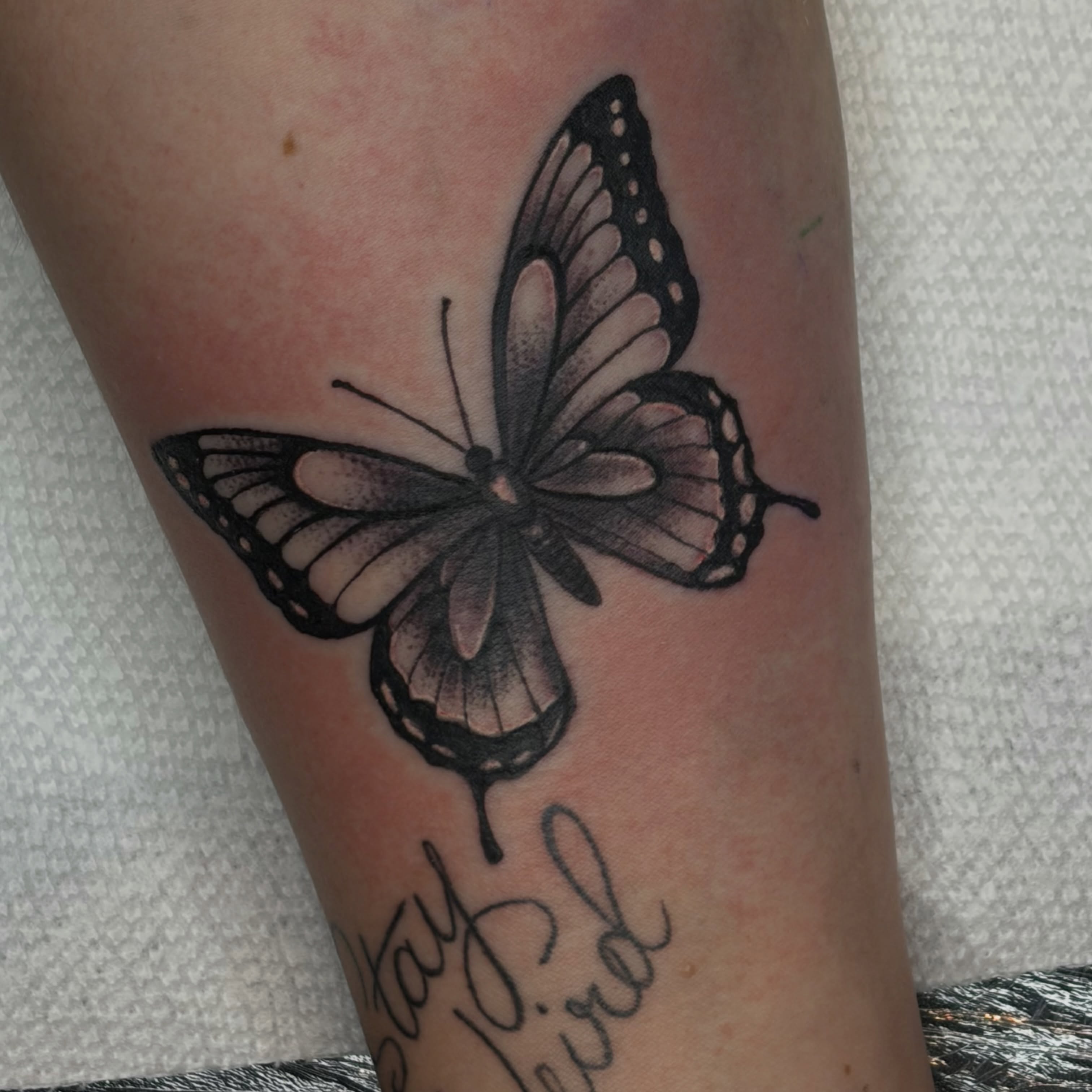 Butterfly dotwork tattoo on the forearm by Calen Copeland