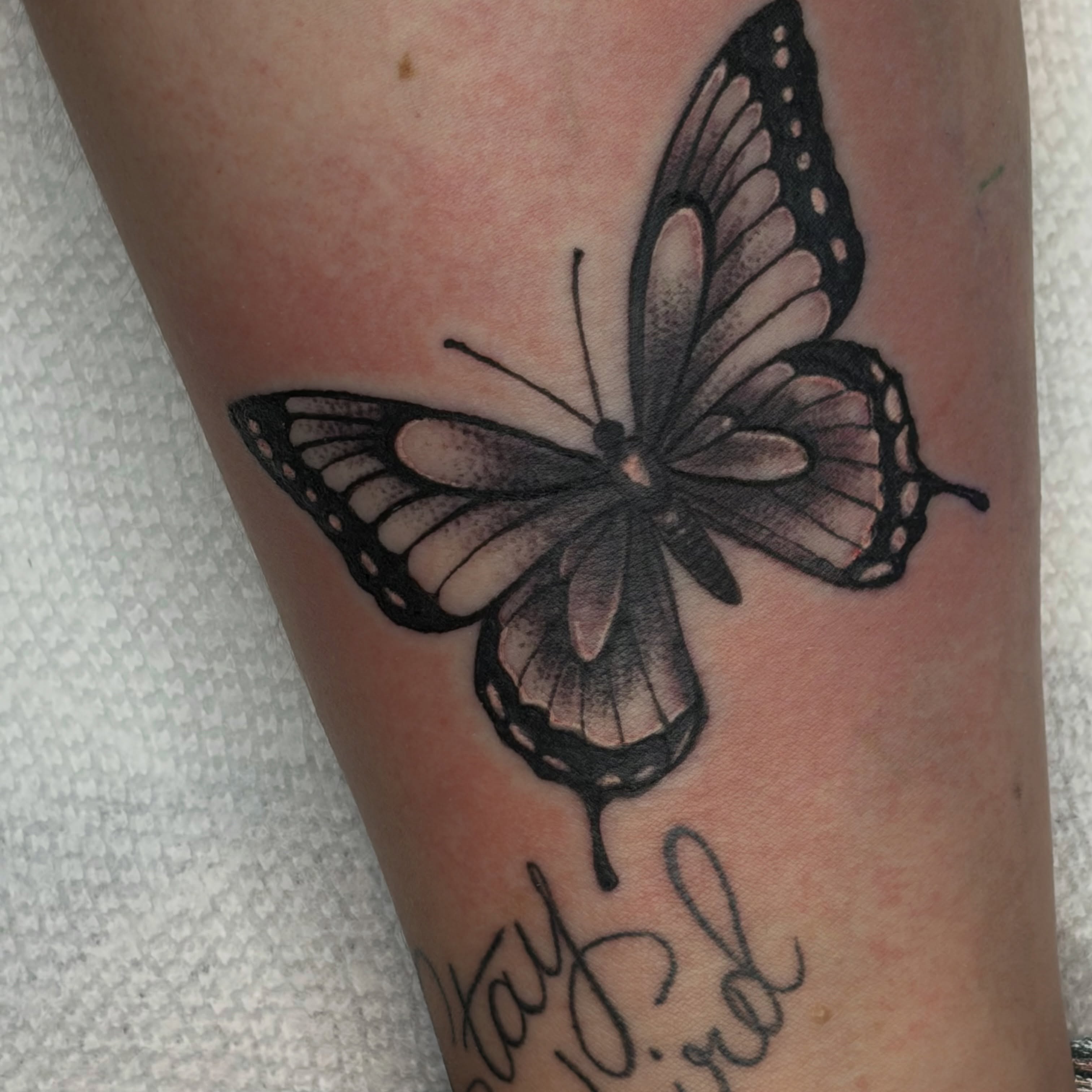 Butterfly dotwork tattoo on the forearm by Calen Copeland