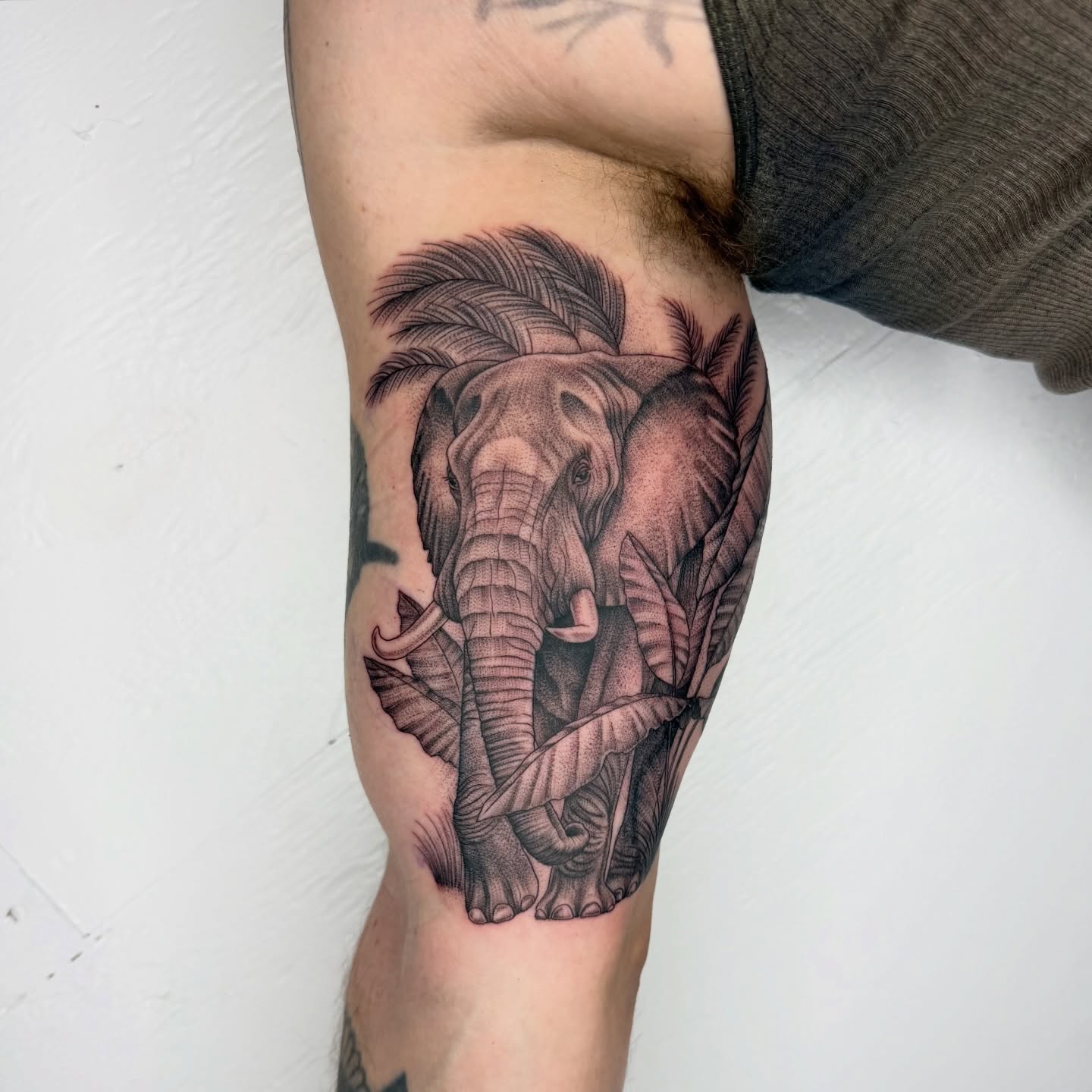 Elephant realism tattoo on the forearm by Rose