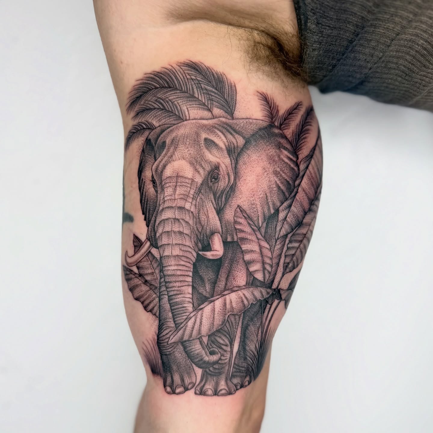 Elephant realism tattoo on the thigh by Rose