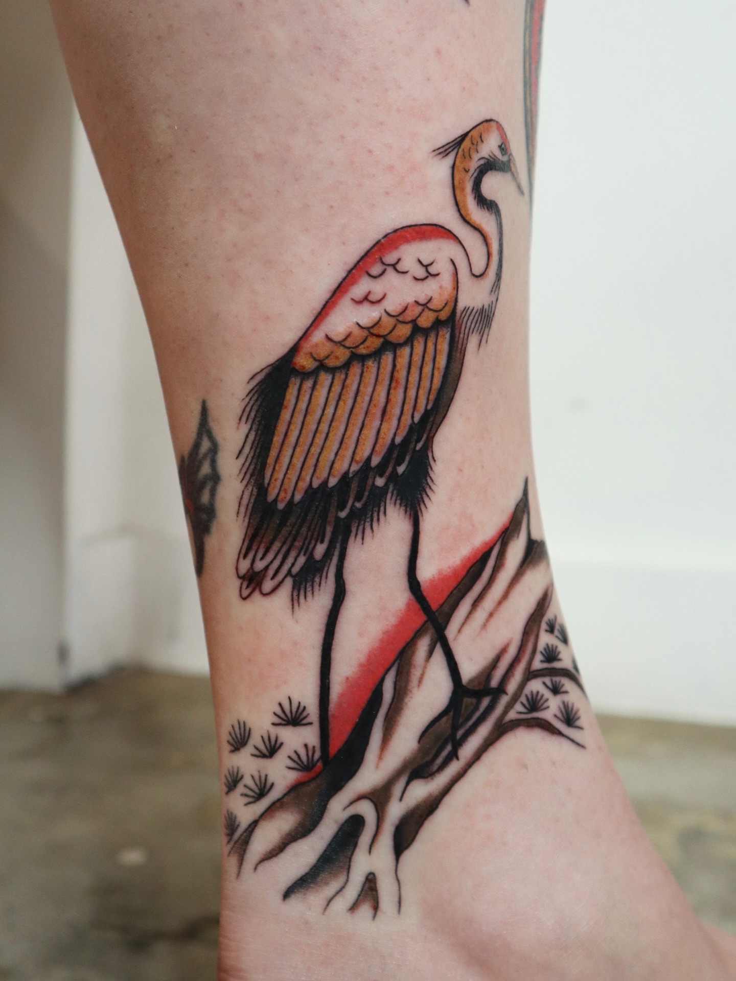 Tattoo by @kreepy_kate — american_traditional