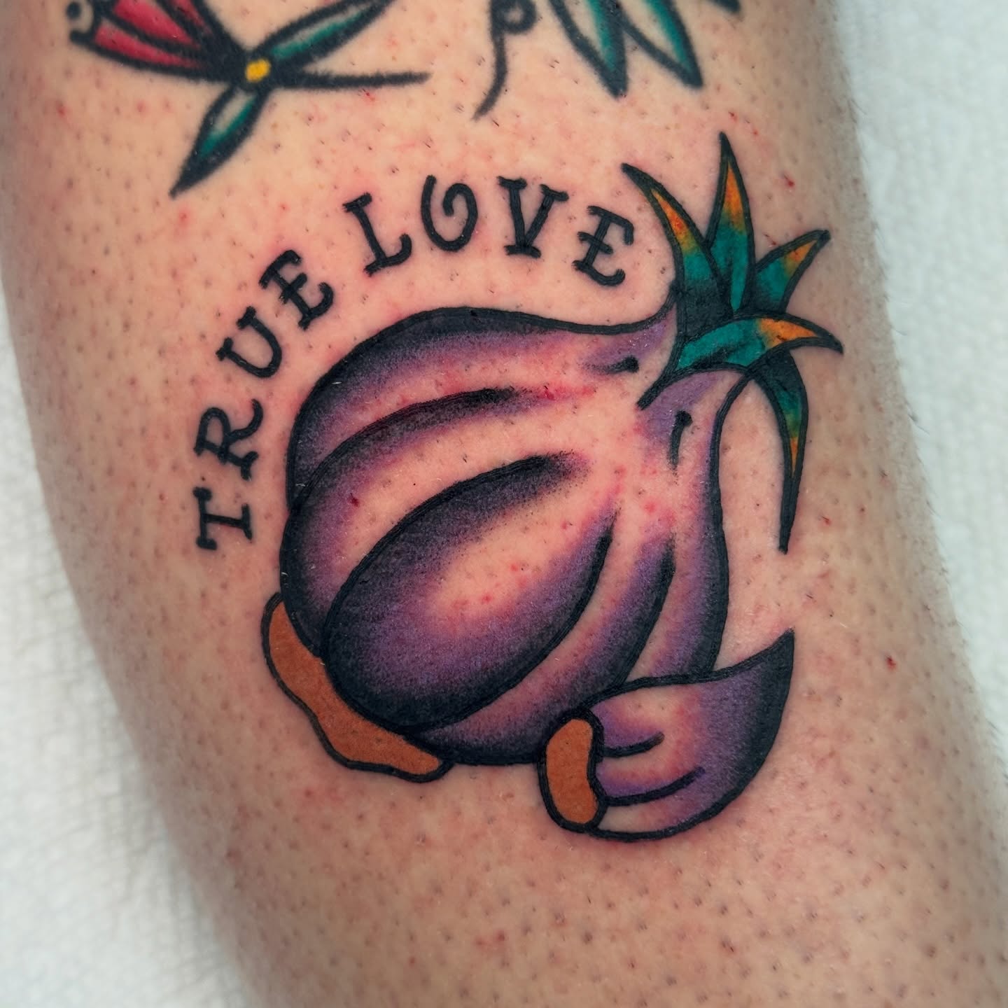 Eggplant American traditional tattoo on the forearm by Rafael Torres, San Francisco, California