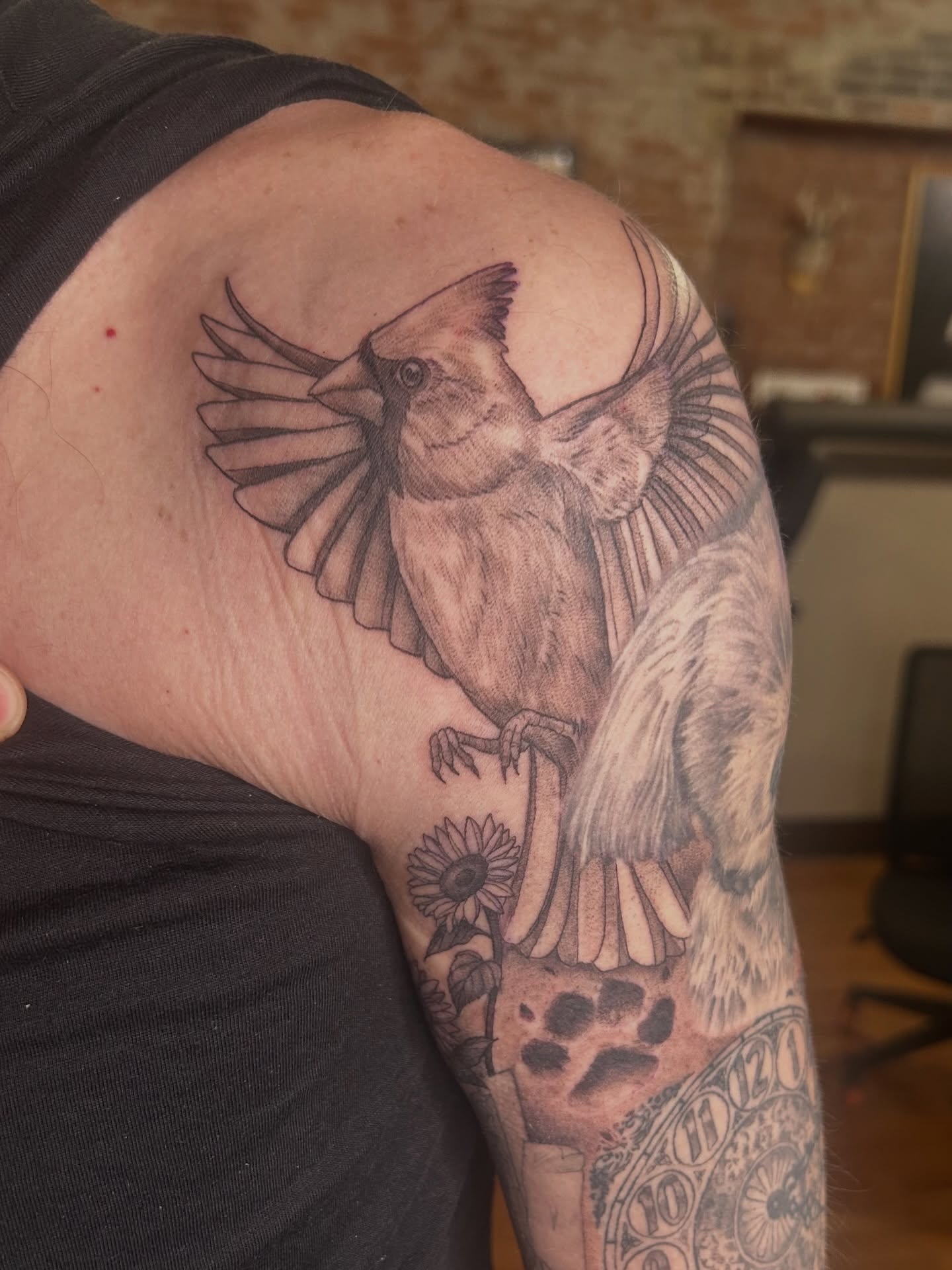 Bird realism tattoo on the shoulder by Kaylee