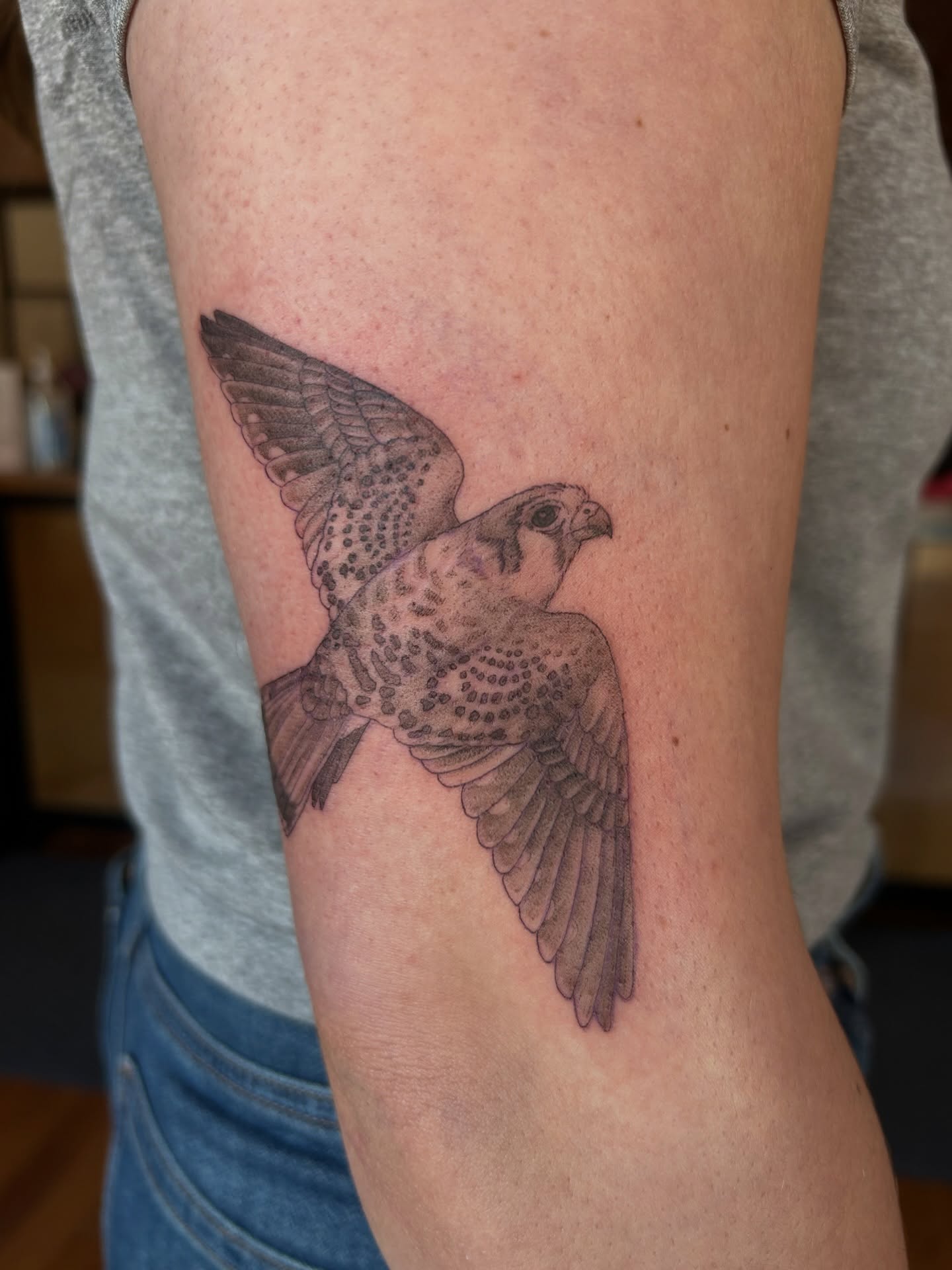 Falcon dotwork tattoo on the forearm by Kaylee