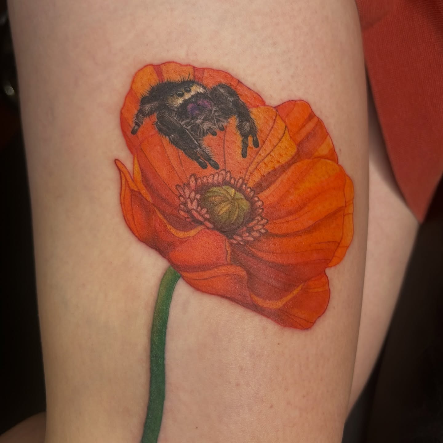 Poppy with spider realism tattoo on the forearm by Kaylee