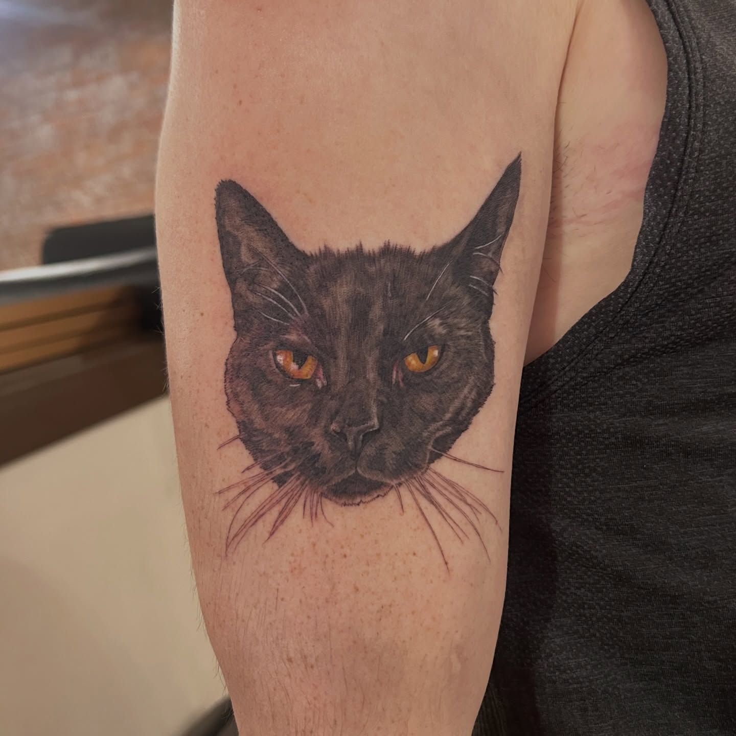 Cat realism tattoo on the forearm by Kaylee