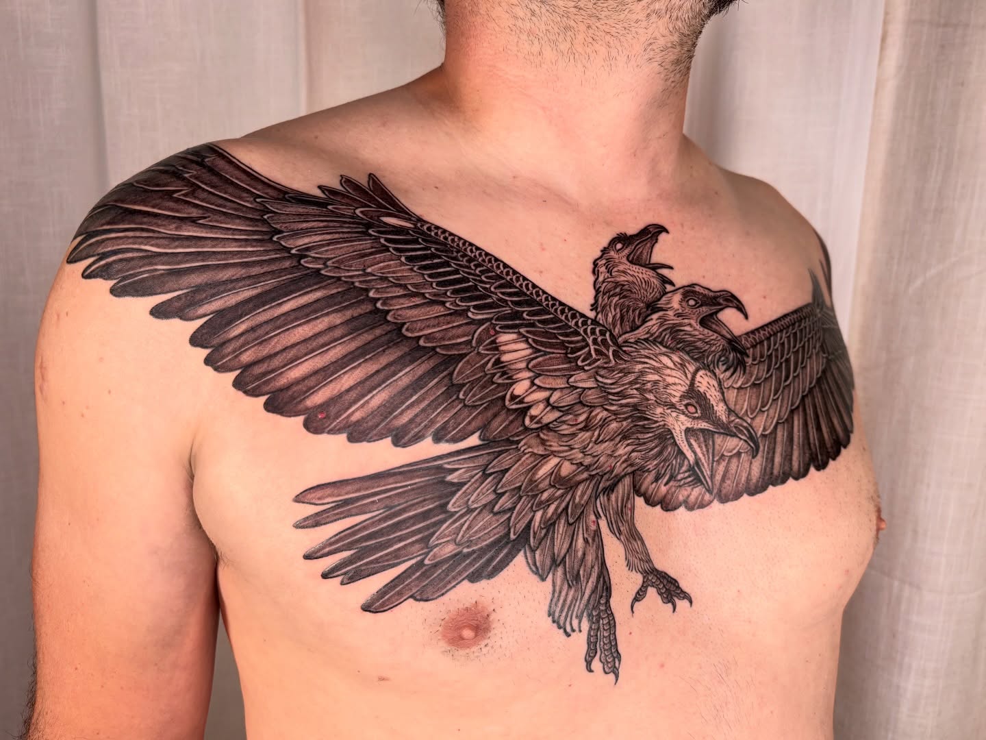 Ravens black and grey tattoo on the chest by Maggie