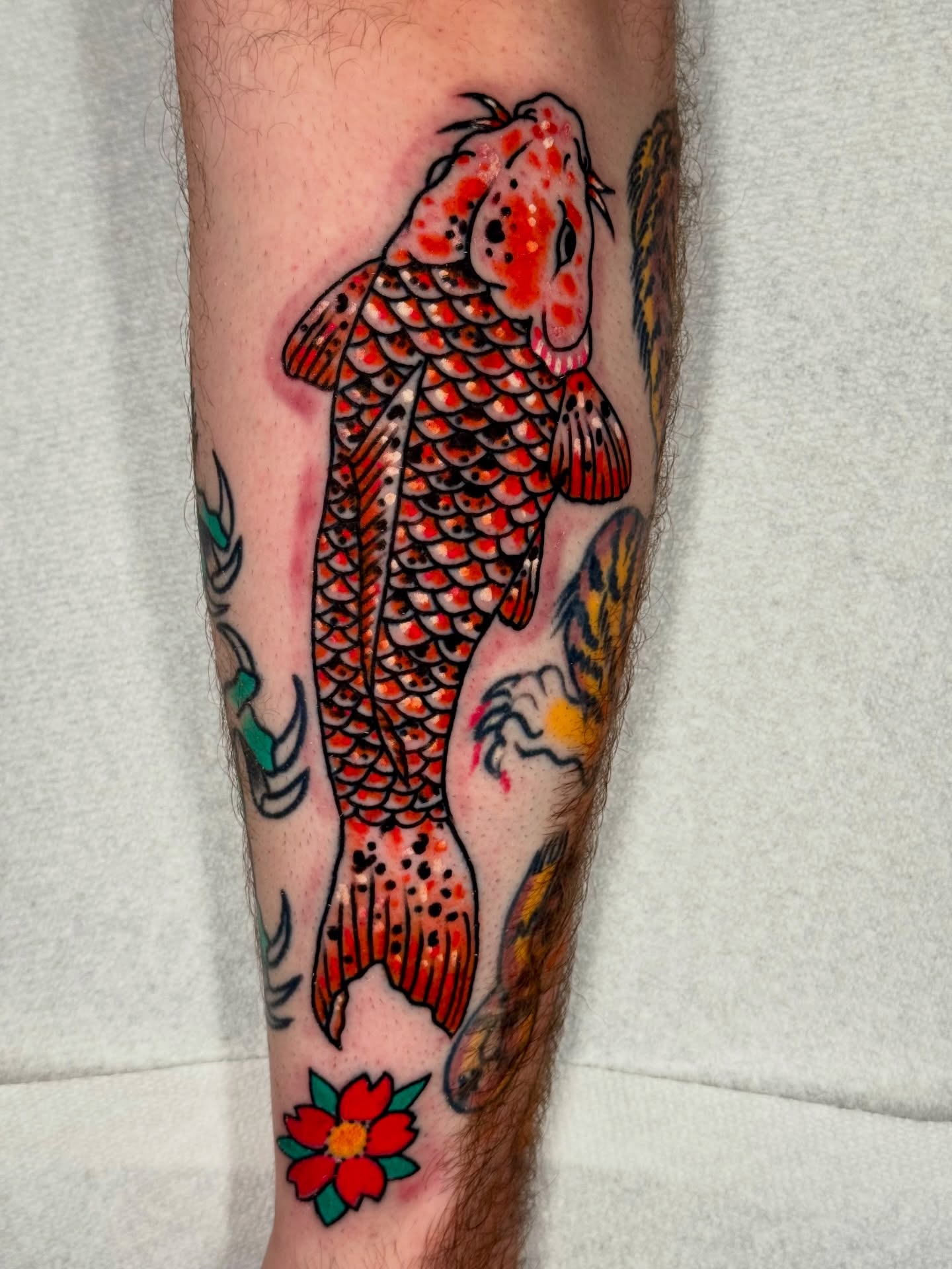 Koi fish American traditional tattoo on the forearm by Joe Bear Tattooer