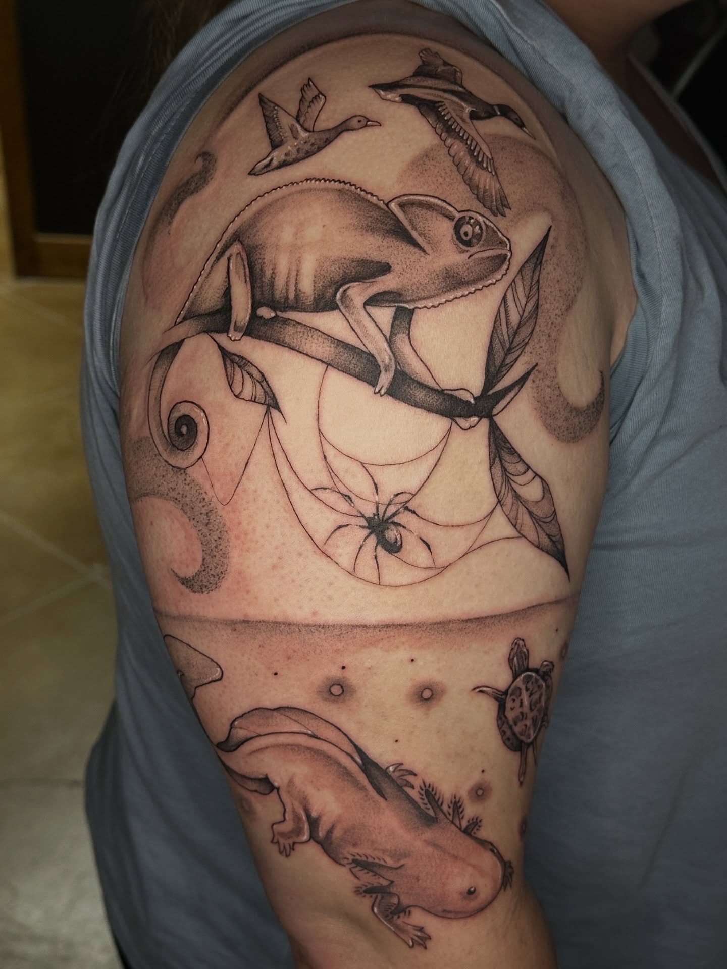Reptiles and insects realism tattoo on the shoulder by Halle Cooper